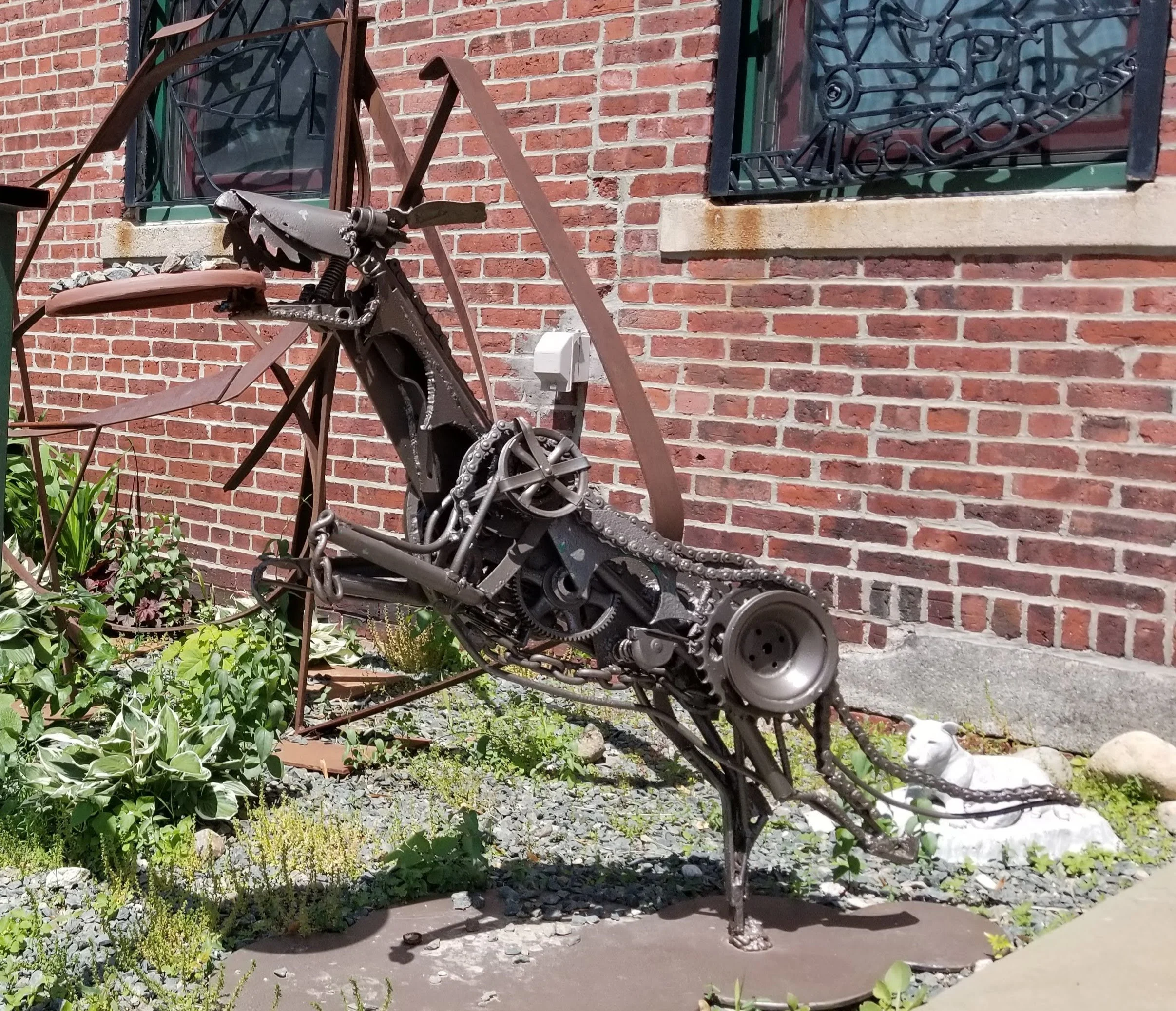 20190607_140024.jpg