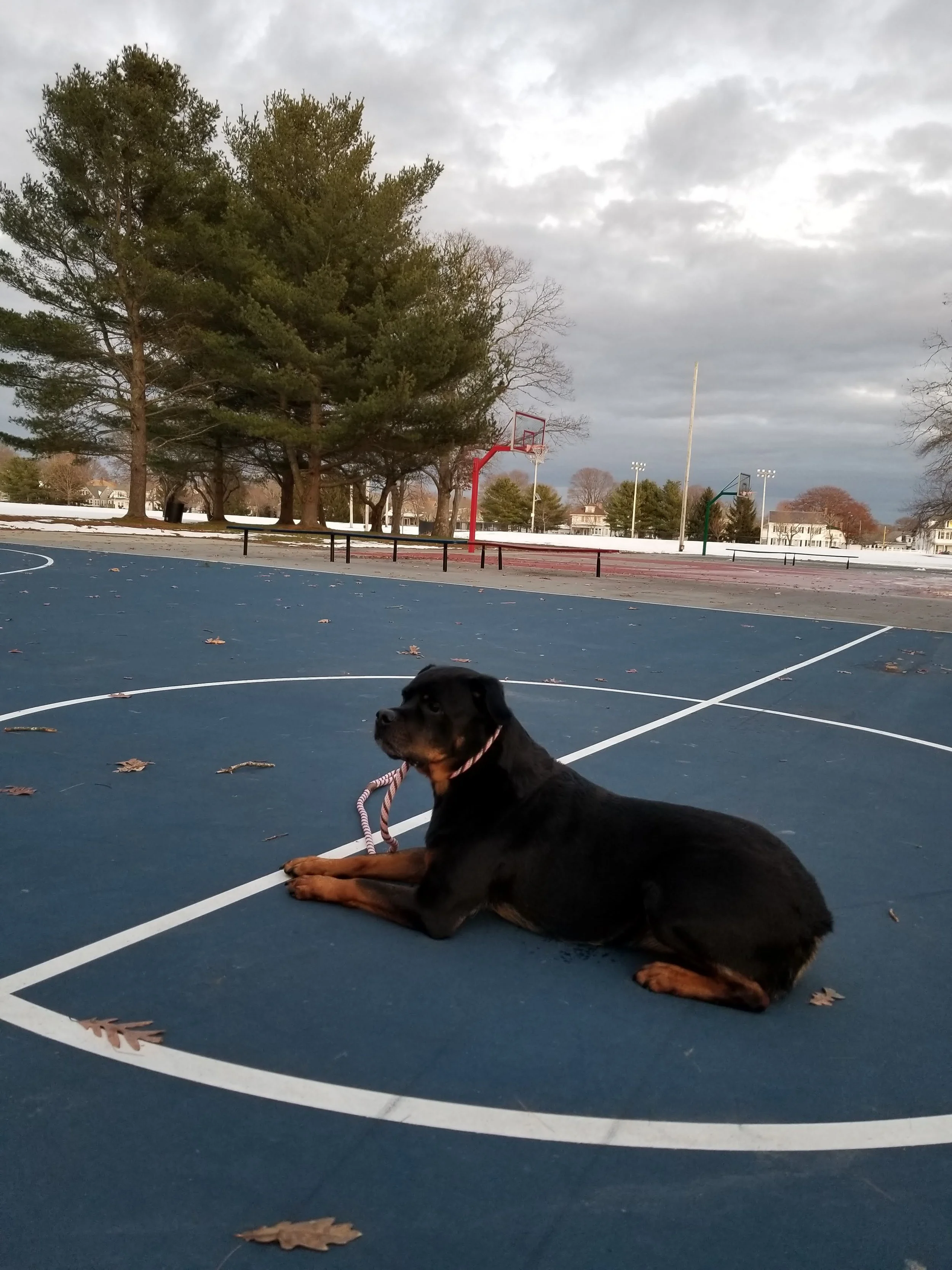 20191205_161414.jpg