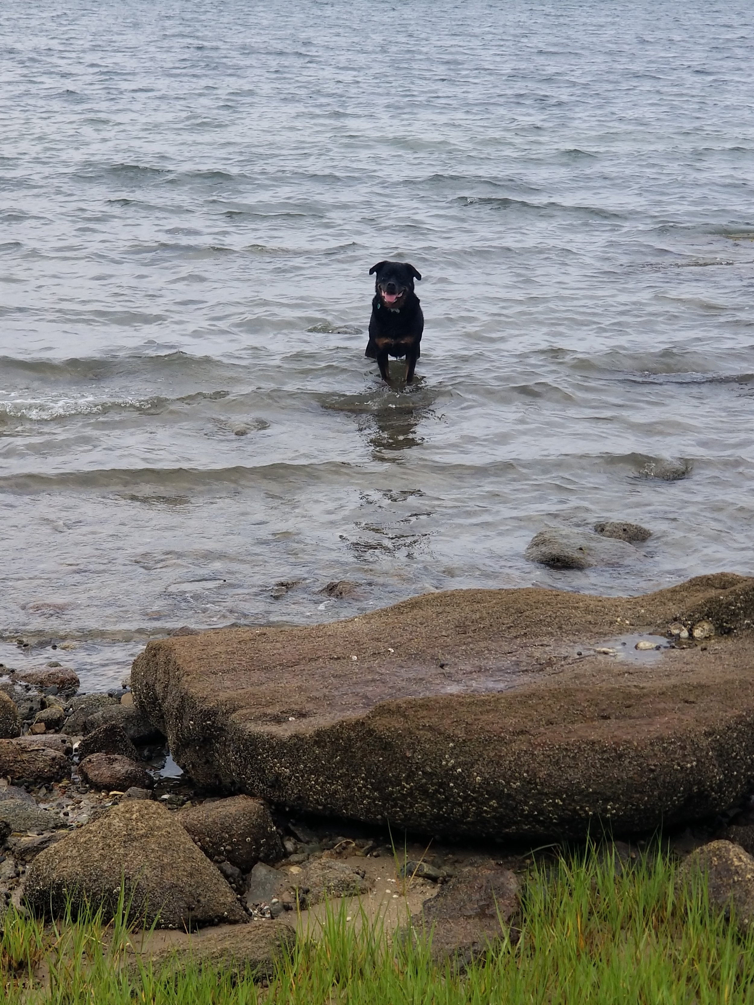 20210619_074623.jpg