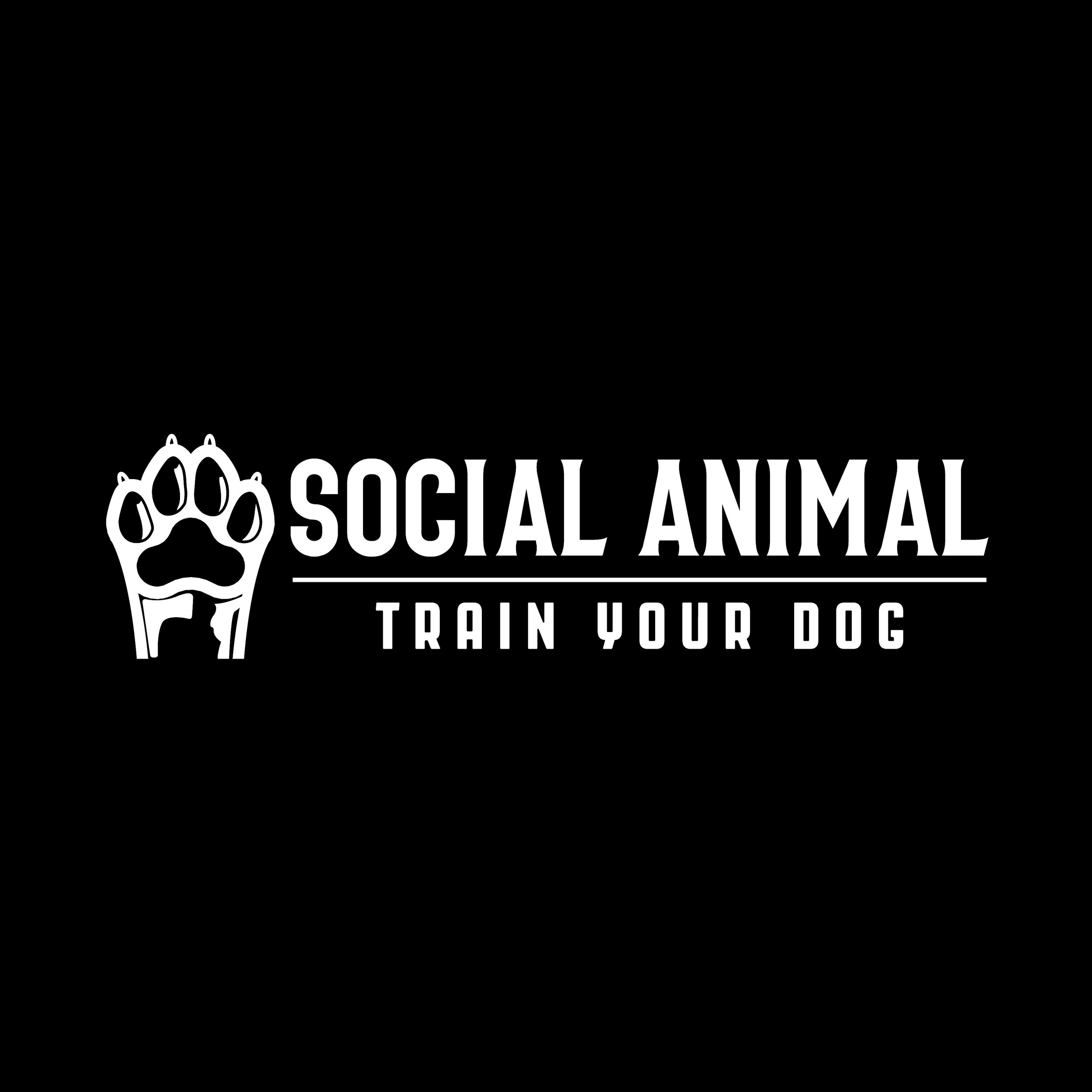 Social Animal Dog Training