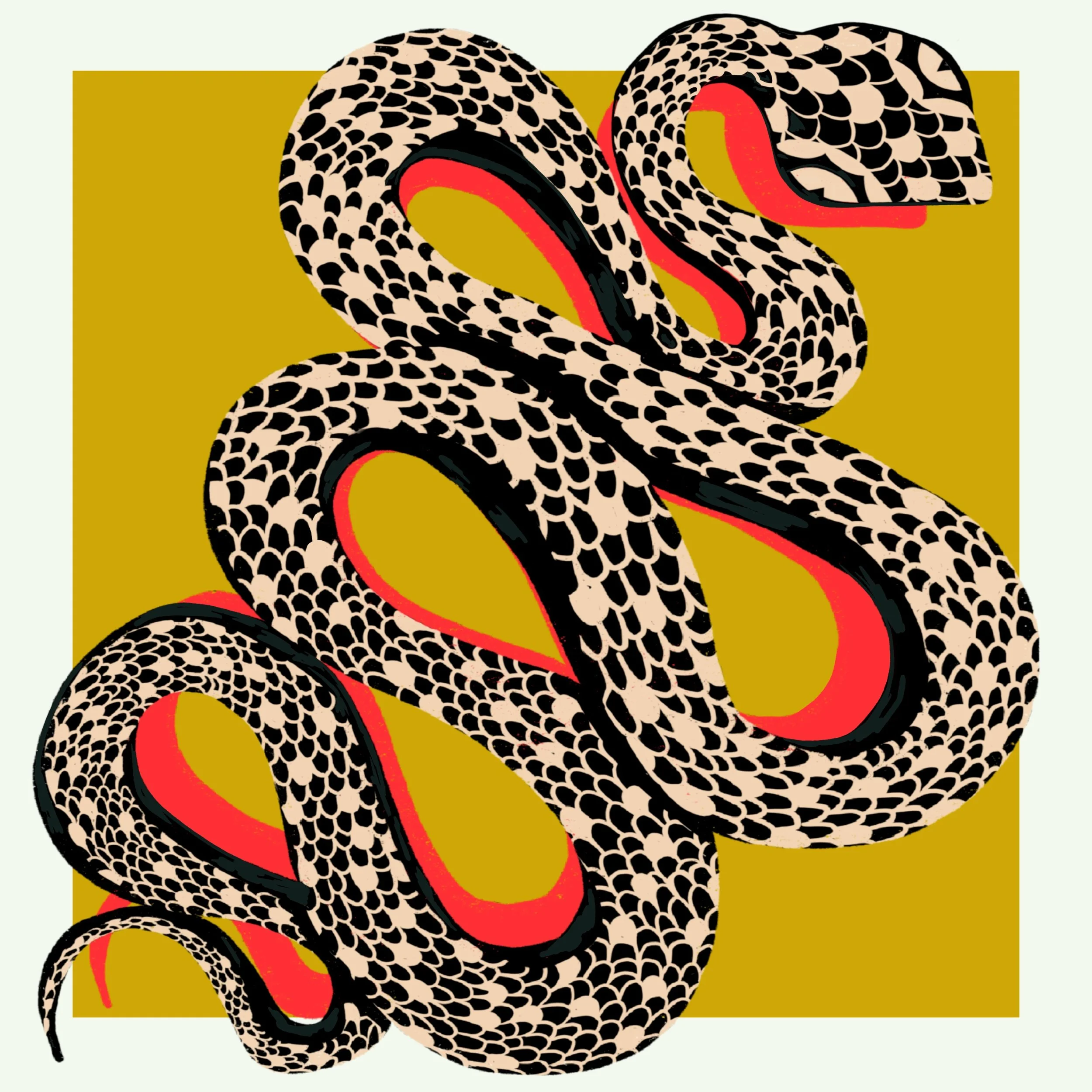 Magic City Hippies Snakes Cover Art