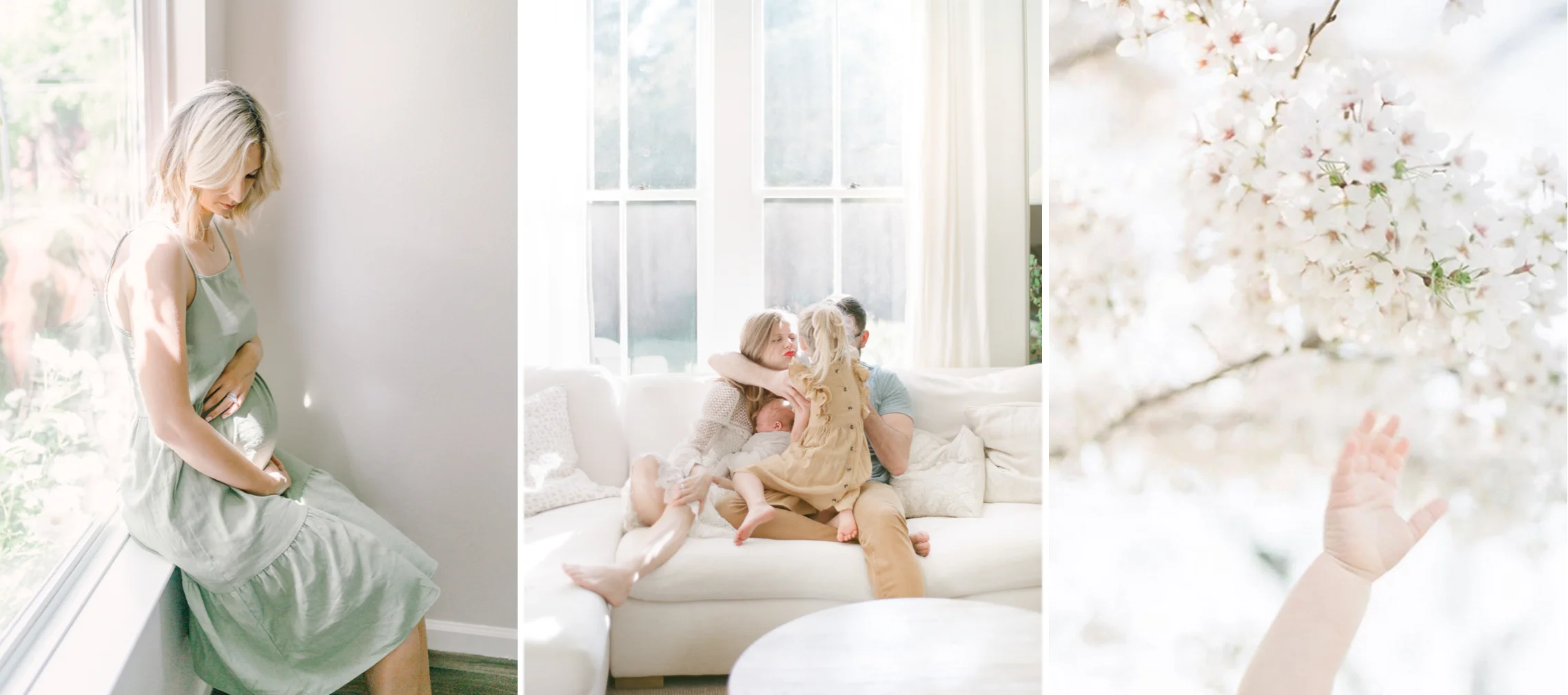 The Haven Way, a family photography publication
