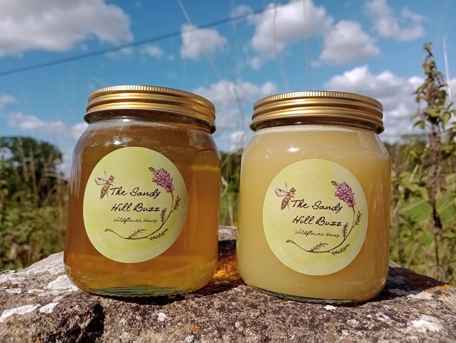 Honey — The Sandy Hill Mob