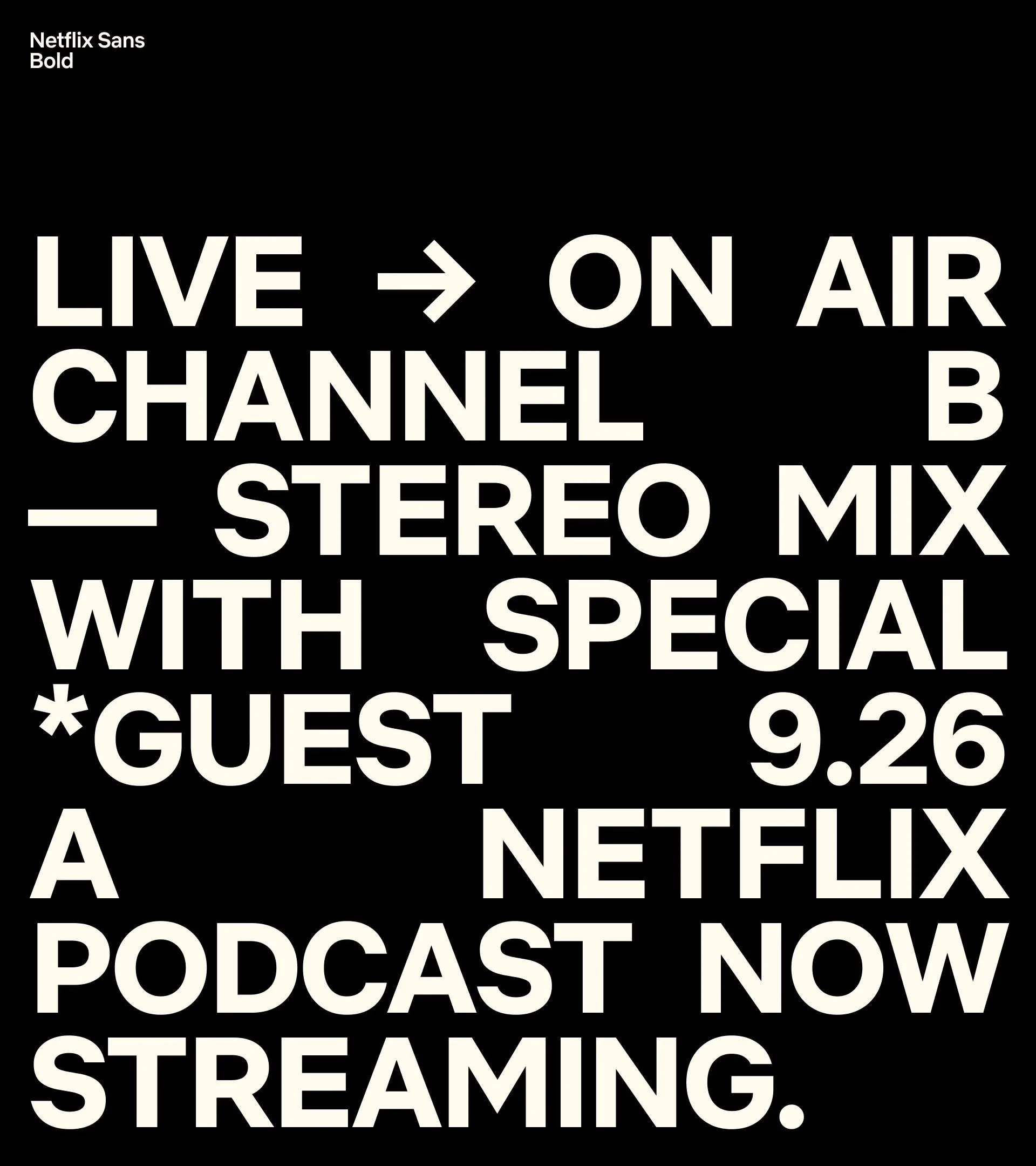 netflix sans bold.jpeg