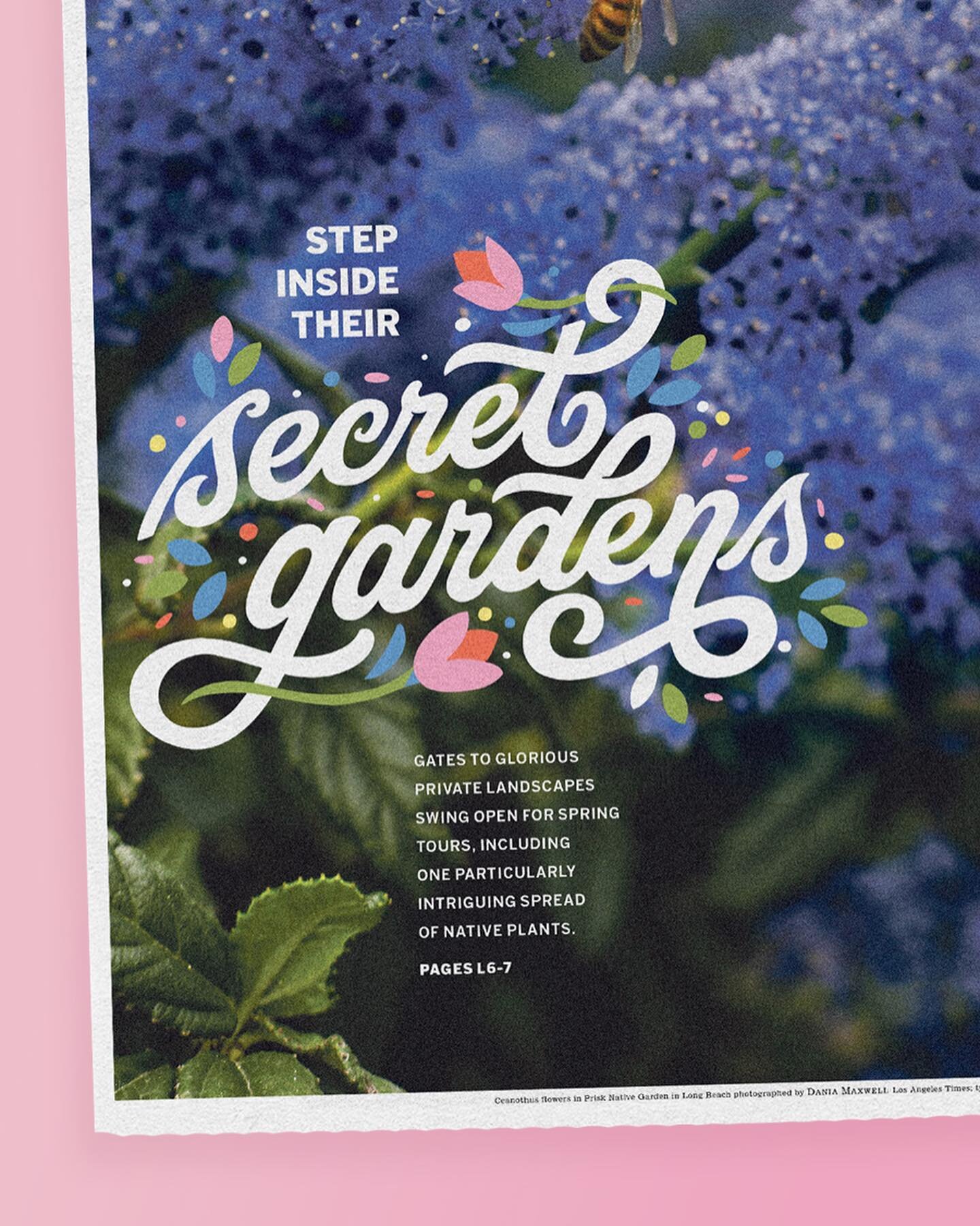Lettering &amp; Illos for @latimes Weekend Cover 💜 It&rsquo;s spring and flowers are blooming ✨So it&rsquo;s time to visit your local garden tours. 

This was a fun project to work on and I look forward to doing more cute #floralillustrations 💜💐 
