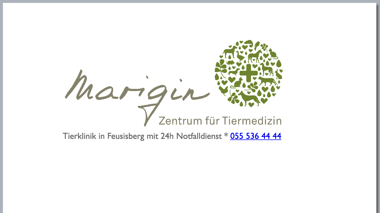Marigin.png