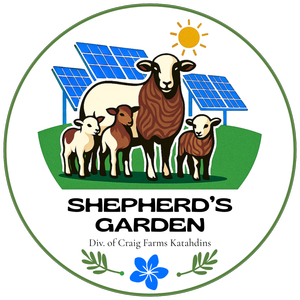 Shepherd's Garden at Craig Farms Katahdins