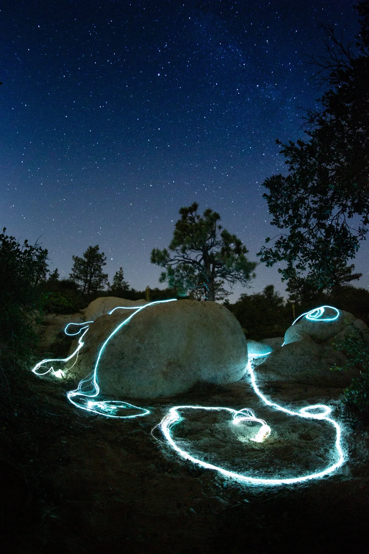 Photos by Tom Clancey