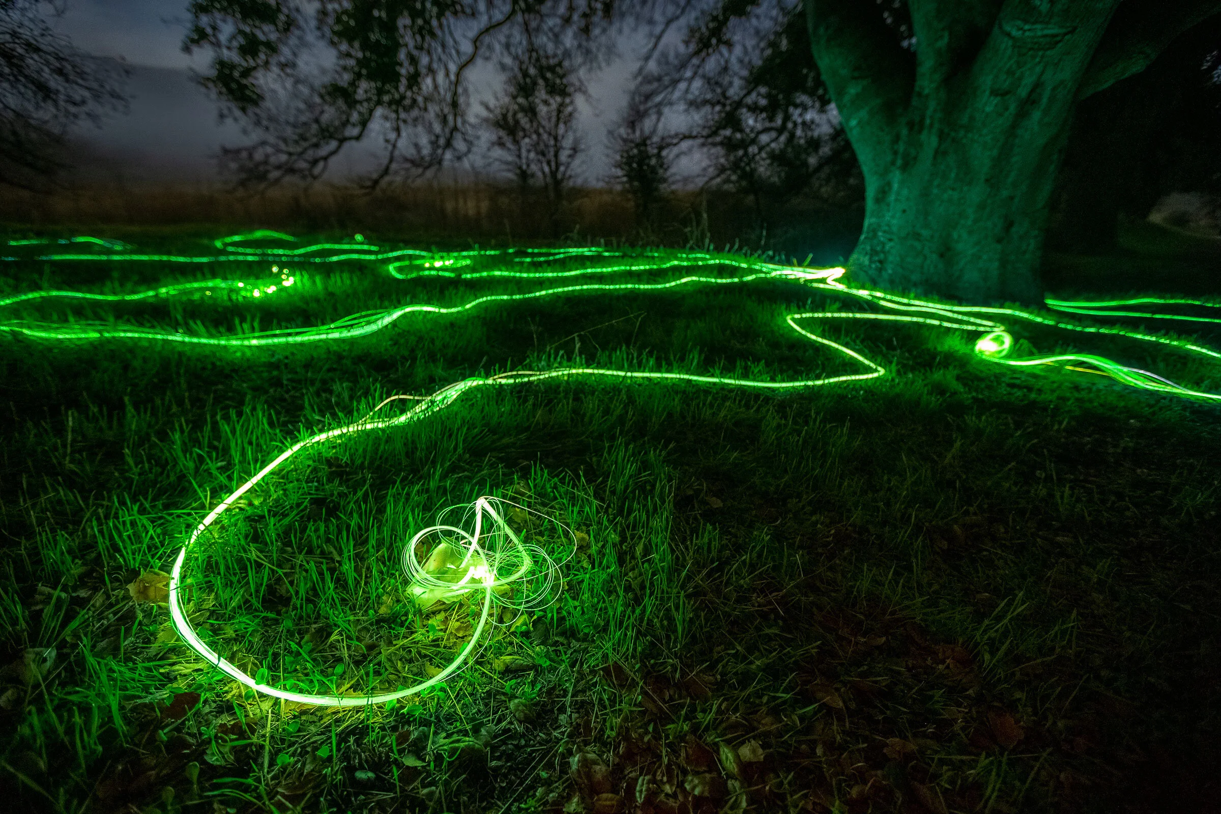 hyphae-annie-mitchell-malibu-creek_10.jpg