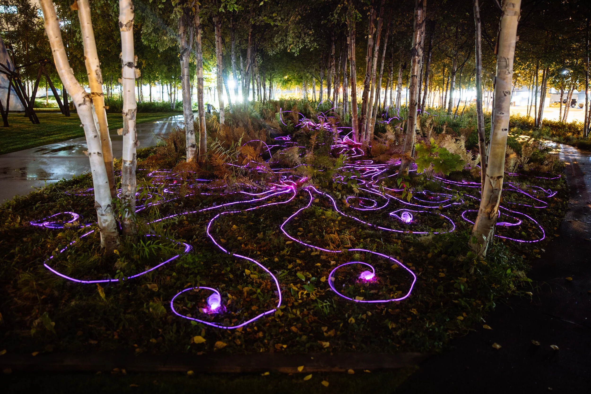 Light-Art_Annie-Mitchell_Anchorage_by-Kerry-Tasker_42A5975.jpg