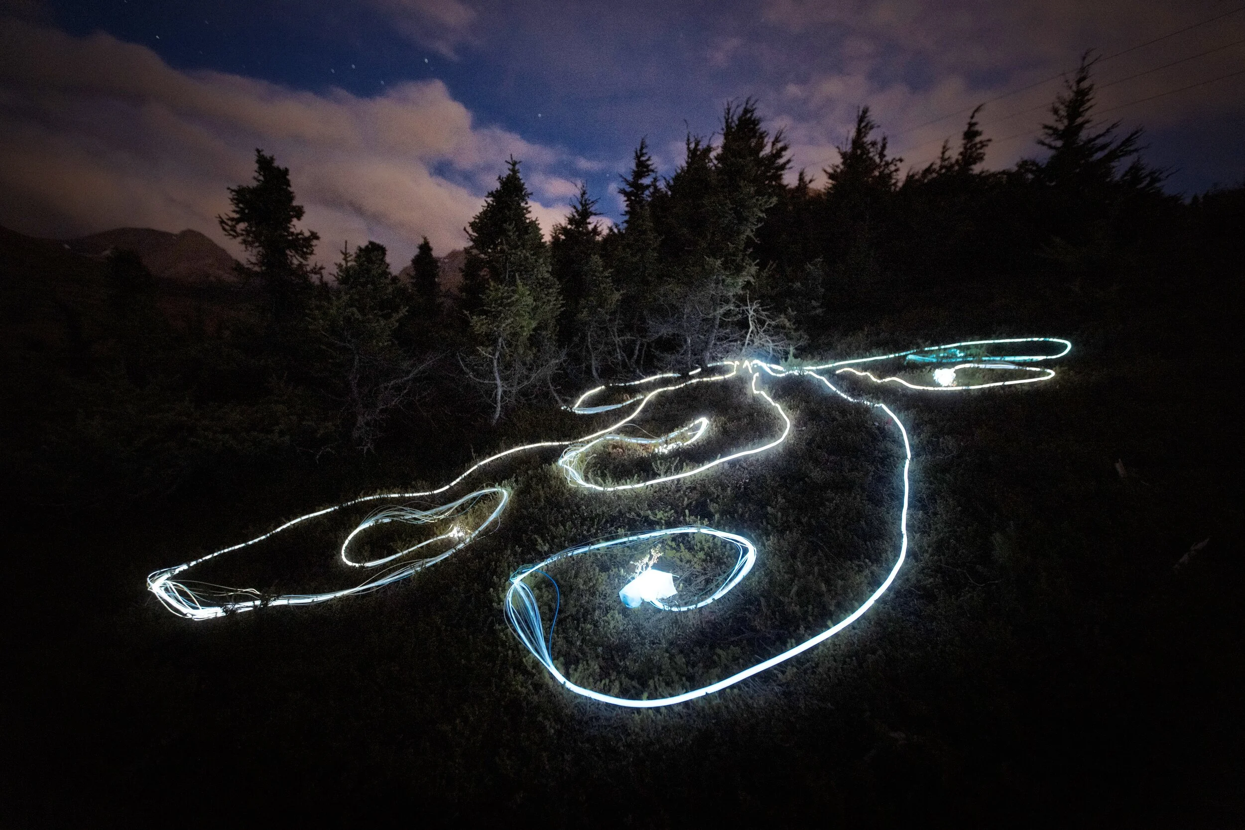  A meditative light and sound experience by Annie Mitchell With generous support from Anchorage Museum and Seed Lab Photography by Kerry Tasker 