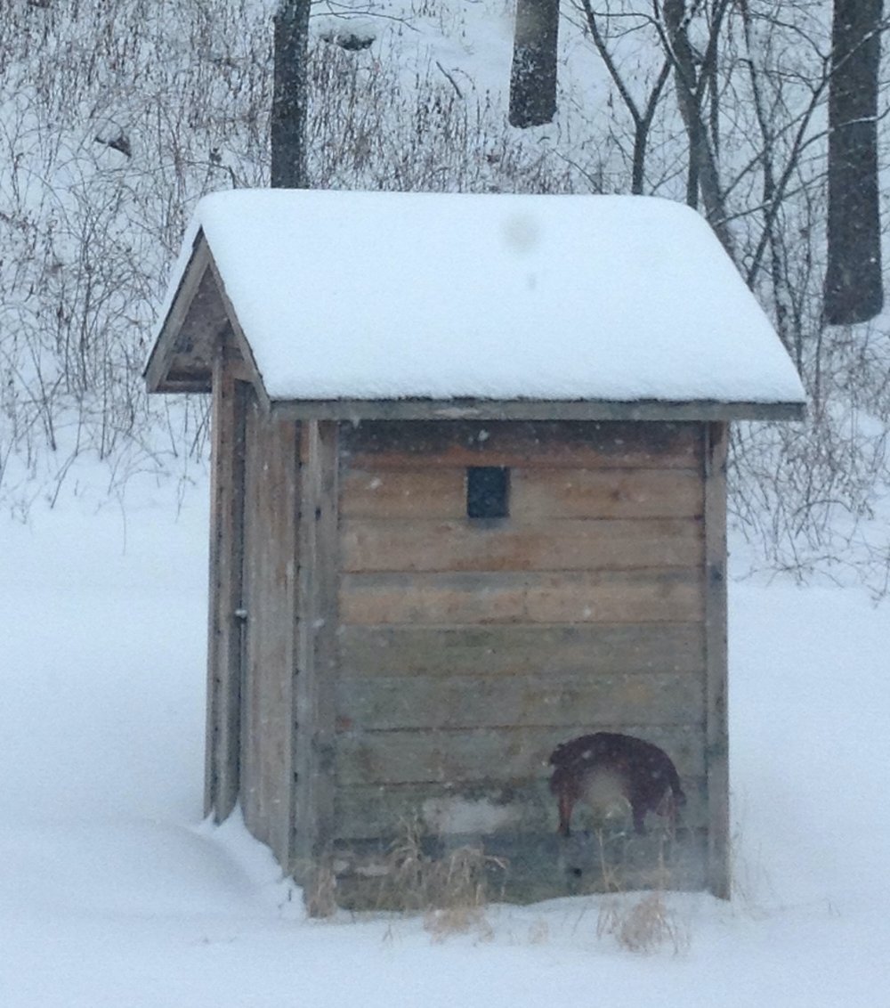 Vintage outhouse