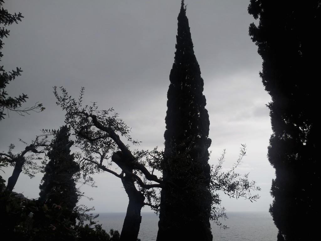 The vegetation is probably like that on Prospero’s Melonia–dramatic and other-worldly