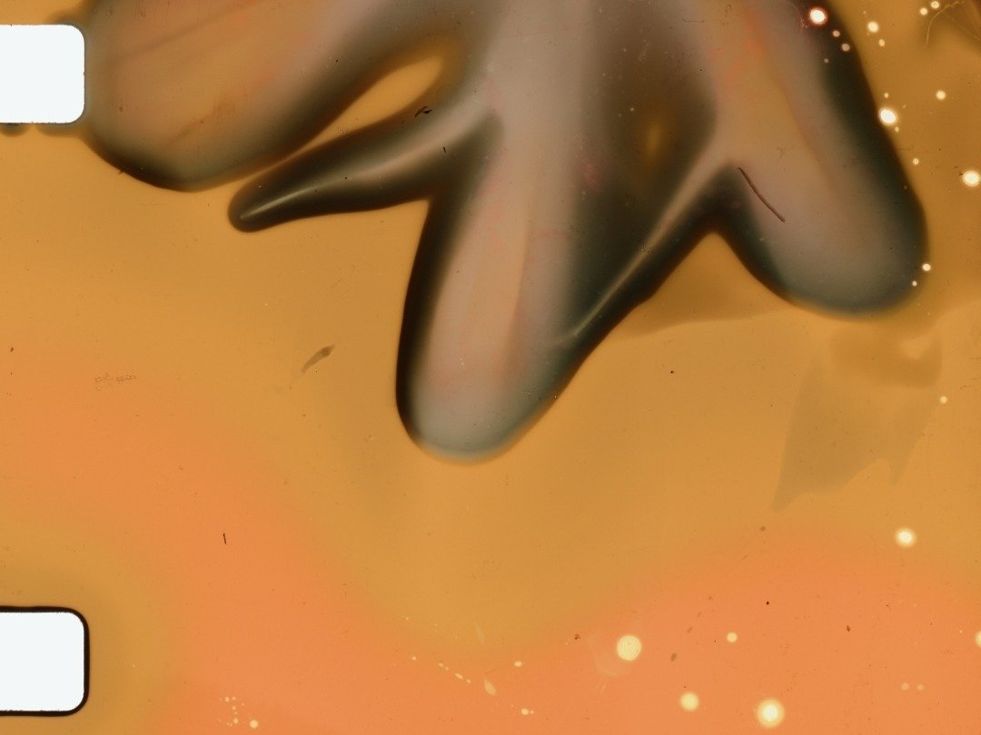 16mm &amp; 35mm Experiments...

Cinematographic art by Franci Duran @&zwnj;franciduran

Film scans by Frame Discreet www.framediscreet.com
Timed &amp; Flat versions

Questions about filmmaking, film scanning, film in general?
info@framediscre