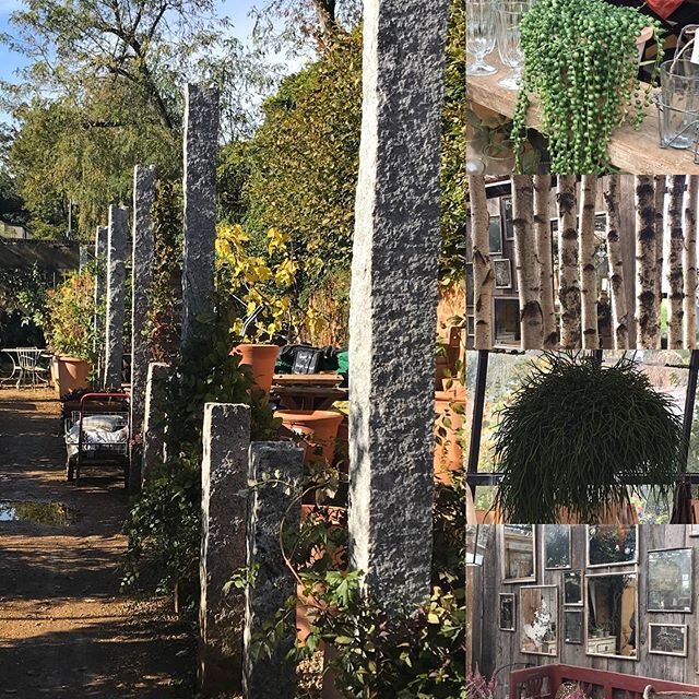 It&rsquo;s on lovely warm days like today when I&rsquo;d rather be browsing @petershamnurseries for outside space inspiration. Photos are from my visit there a few summers ago whilst researching for my @klcschool final project. Found inspiration in t