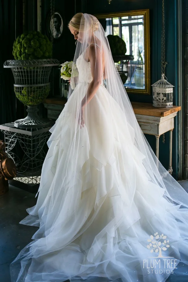 Bridal Portrait at Hughes Manor by Plum Tree Studios.jpg