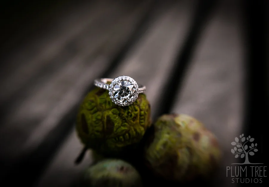 009 Hermann Park Engagement Session at Sunset EDES2014 Plum Tree Studios.jpg