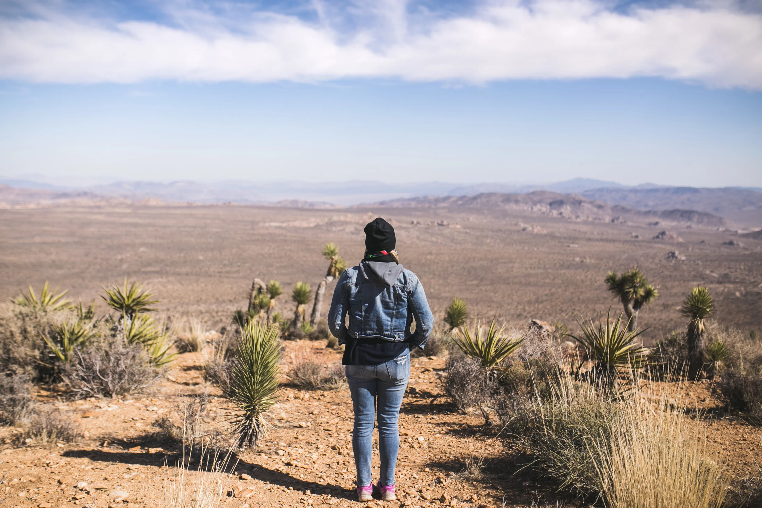 JoshuaTree-82.jpg