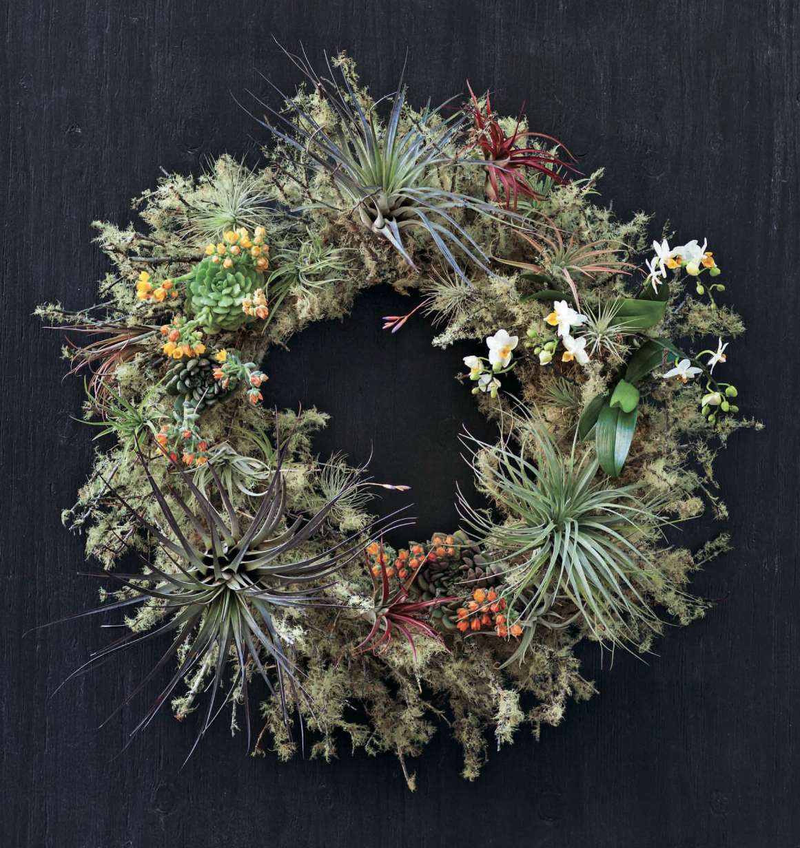 d2.png