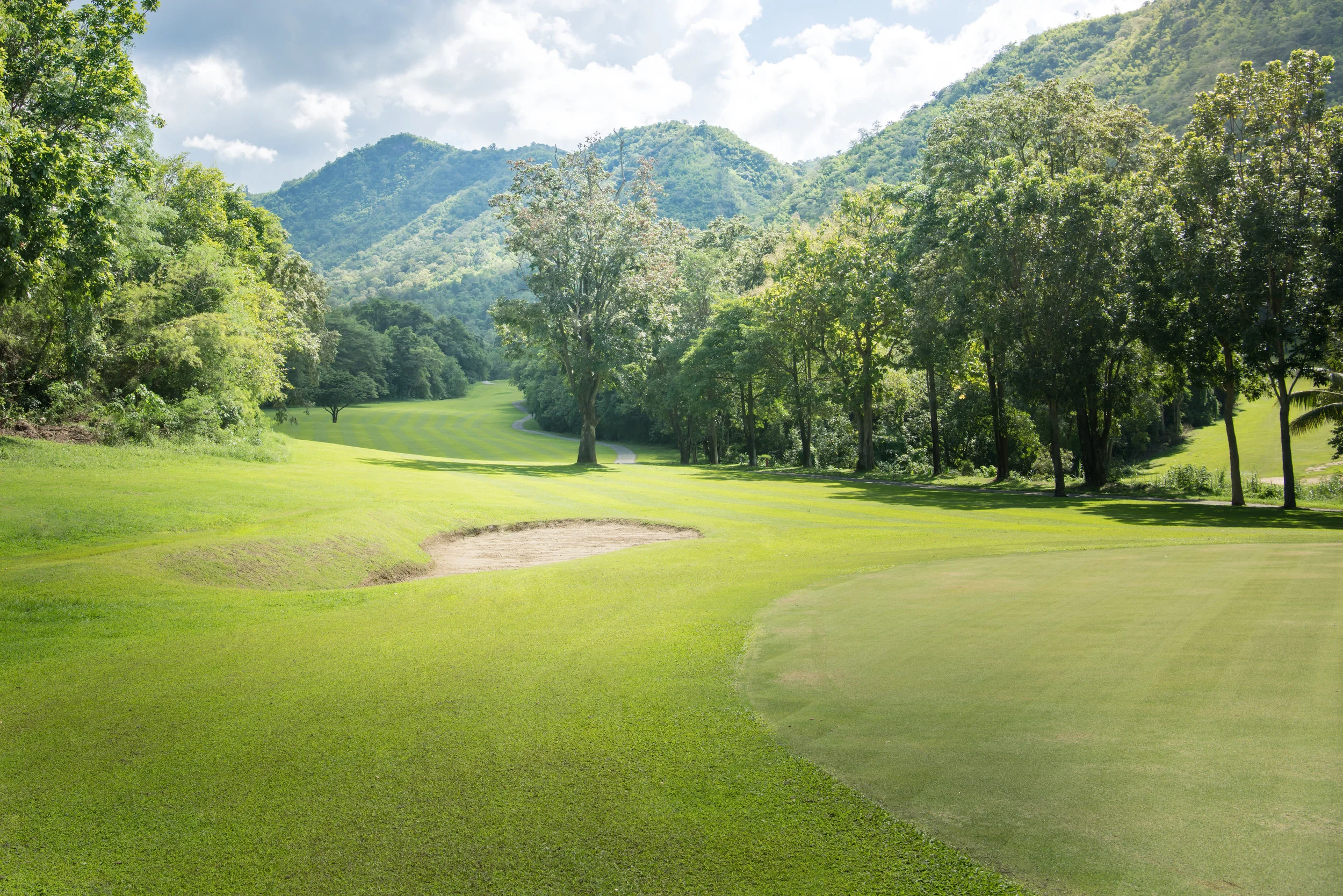 golf-AMHLQB2 copy.jpg