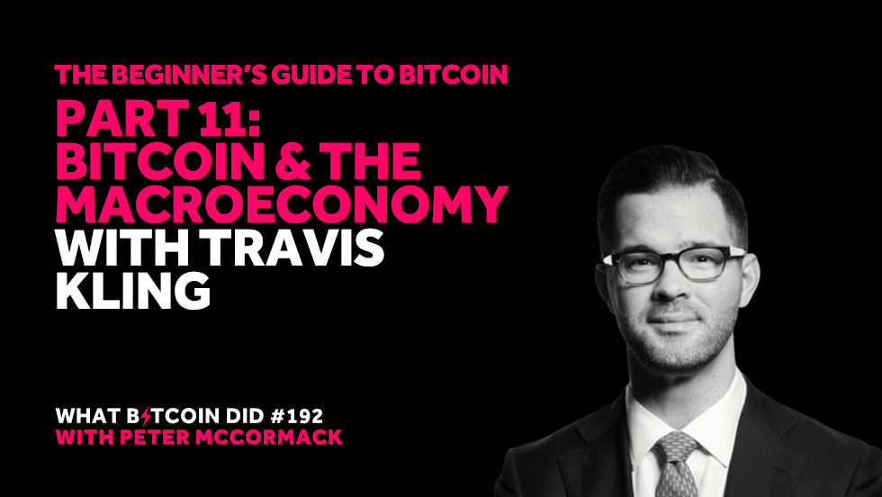 What Bitcoin Did - The Beginner’s Guide to Bitcoin Part 11: Bitcoin and the Macroeconomy with Travis Kling