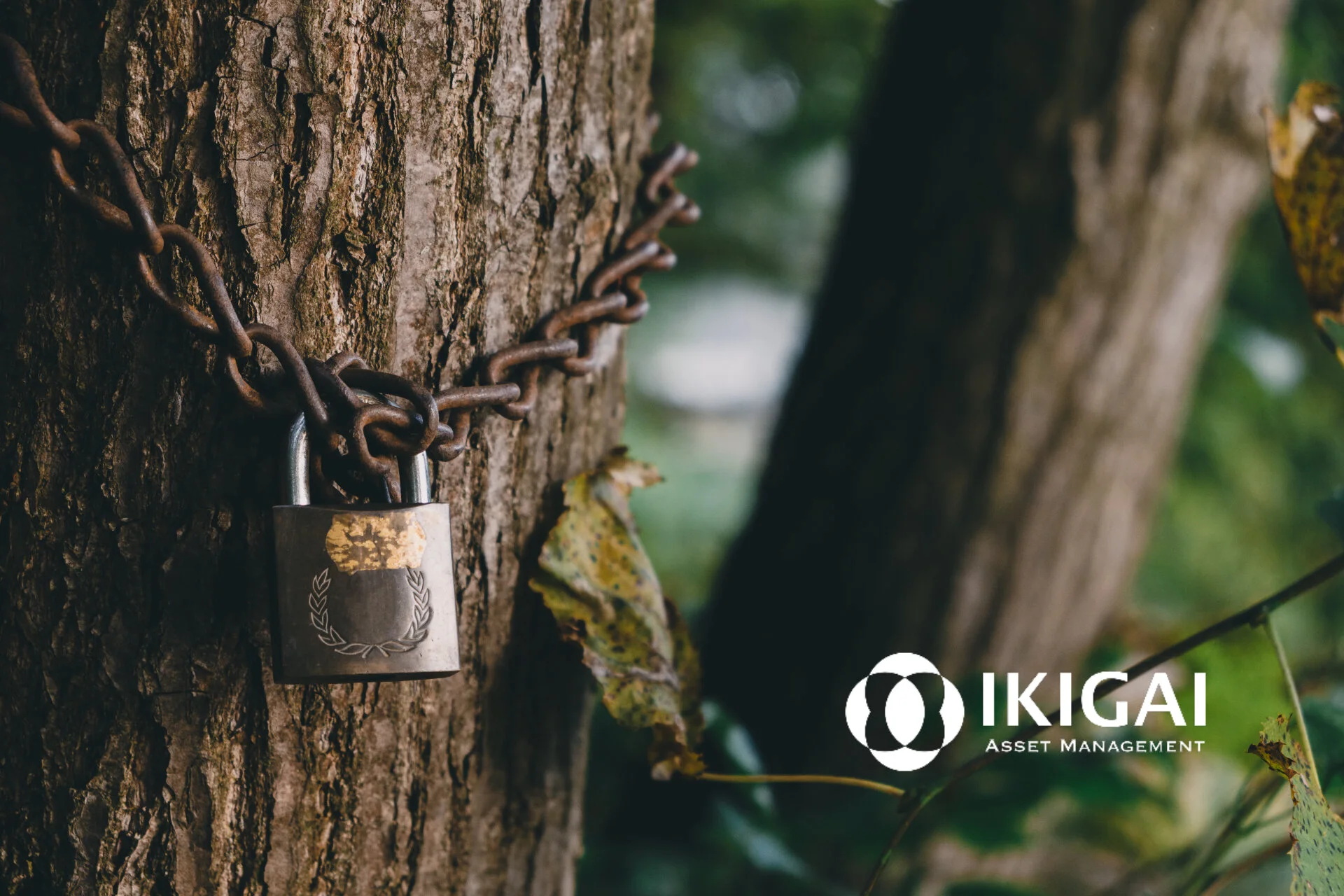 Crypto Security Primer