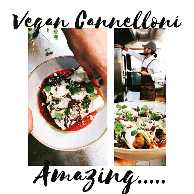 Our Vegan Cannelloni is incredible! Come and try it here at the Alpine Lodge only one hours pleasant drive from Nelson or Blenheim.
#alpinelodgenelsonlakes #vegan #vegancannelloni #starnaud #nelsonlakesnationalpark