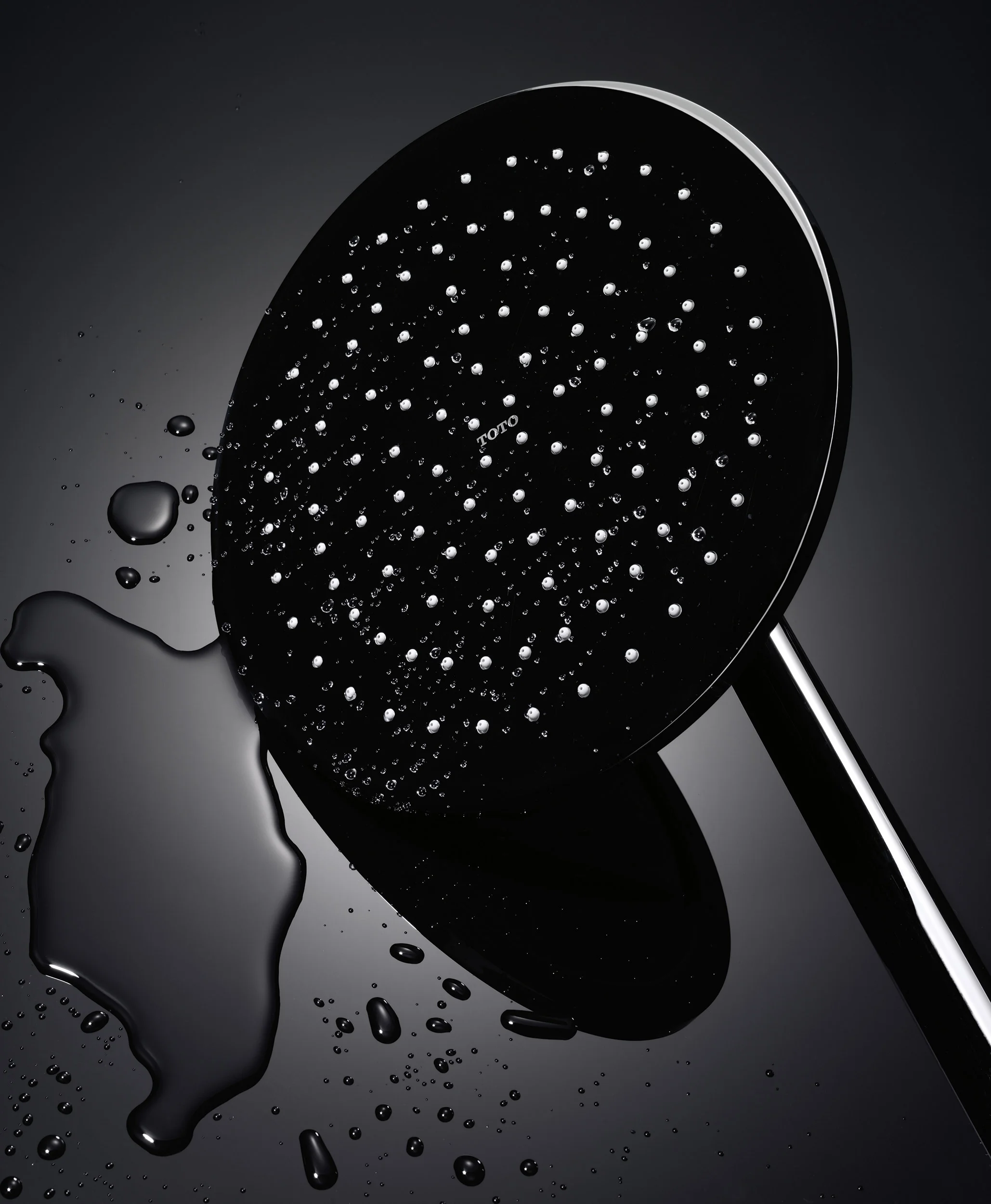 Toto_Showerhead.jpg