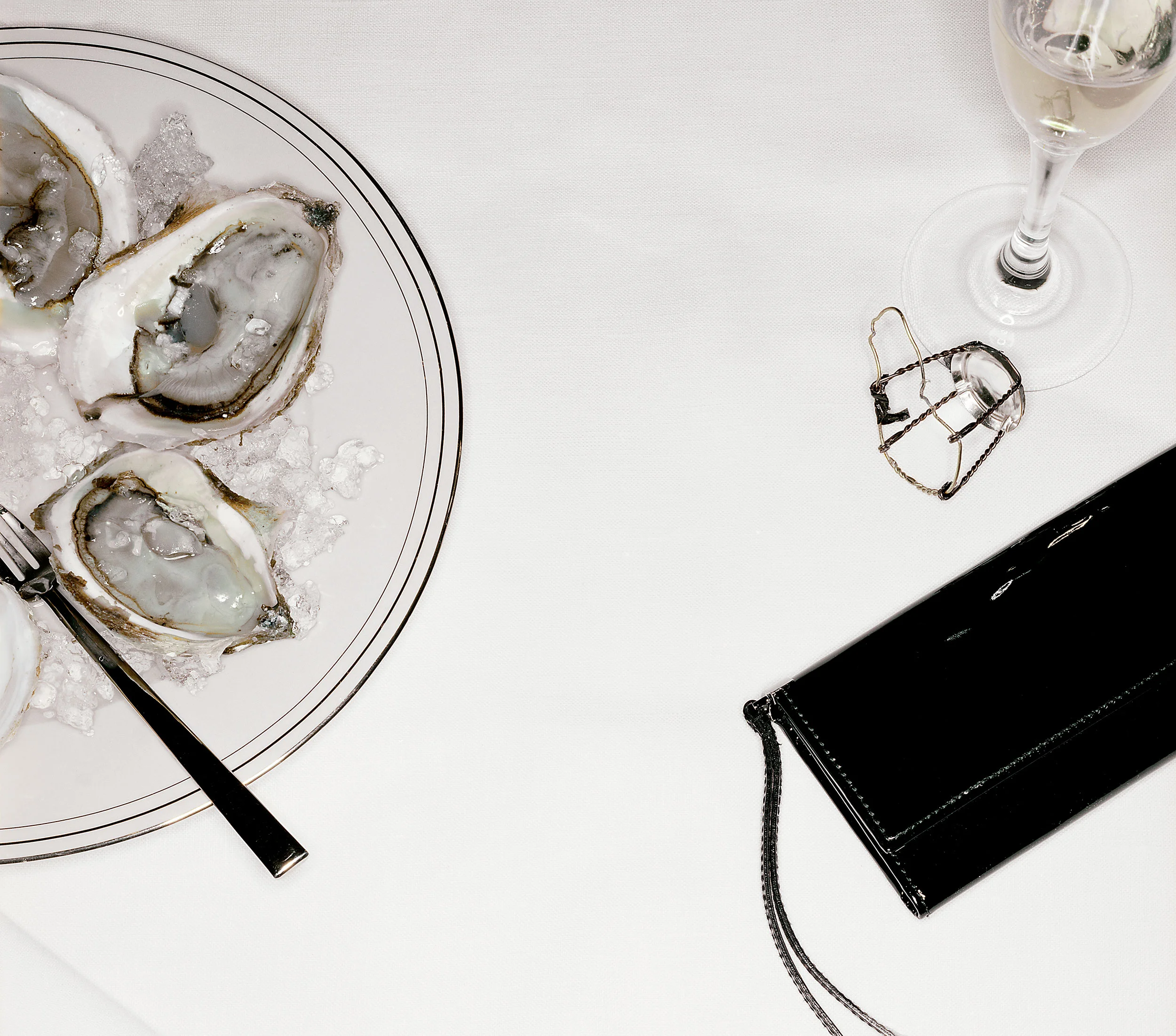 blackBag_w_oysters_shp.jpg