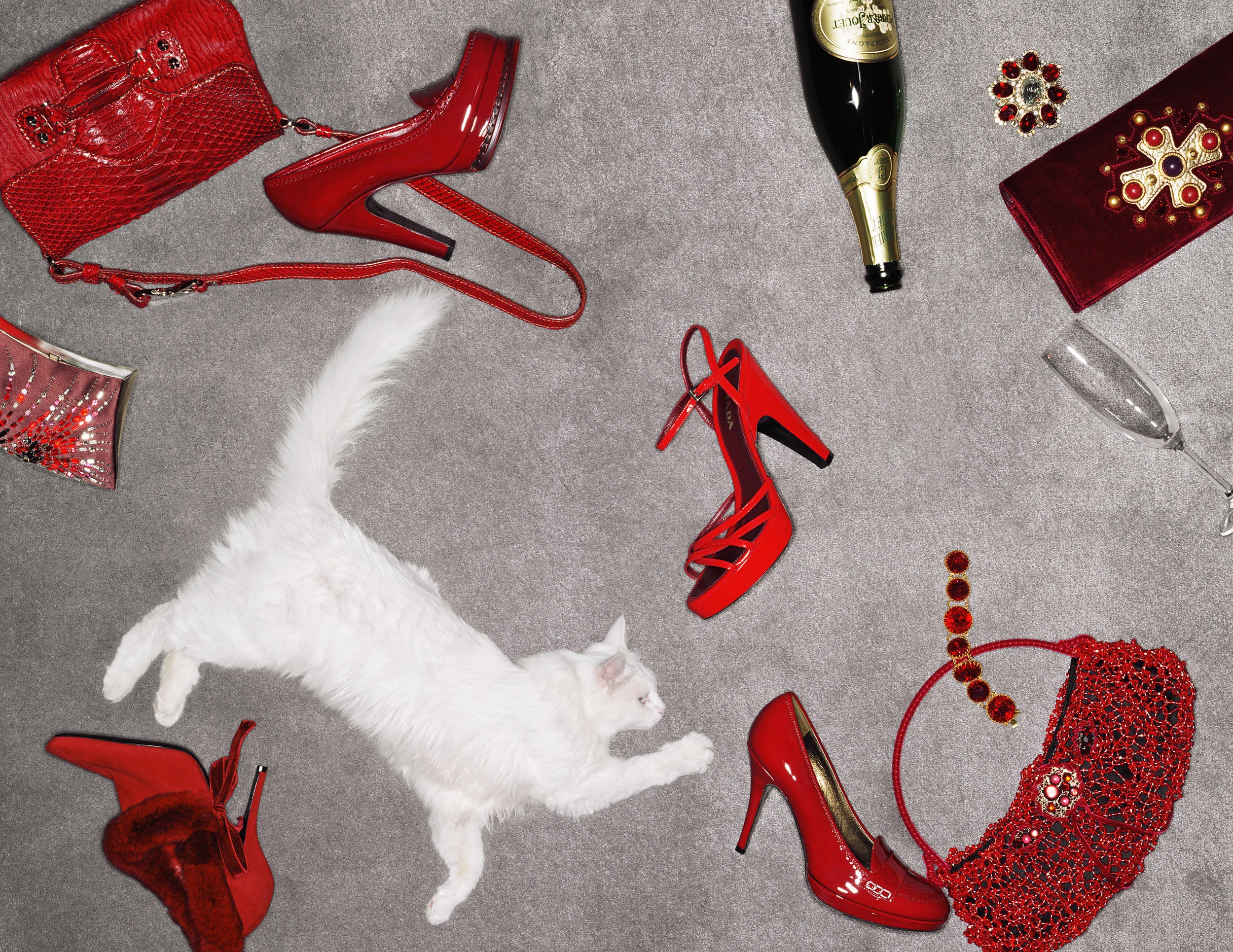 red accessories-final_no_border_crop_B_2500px.jpg