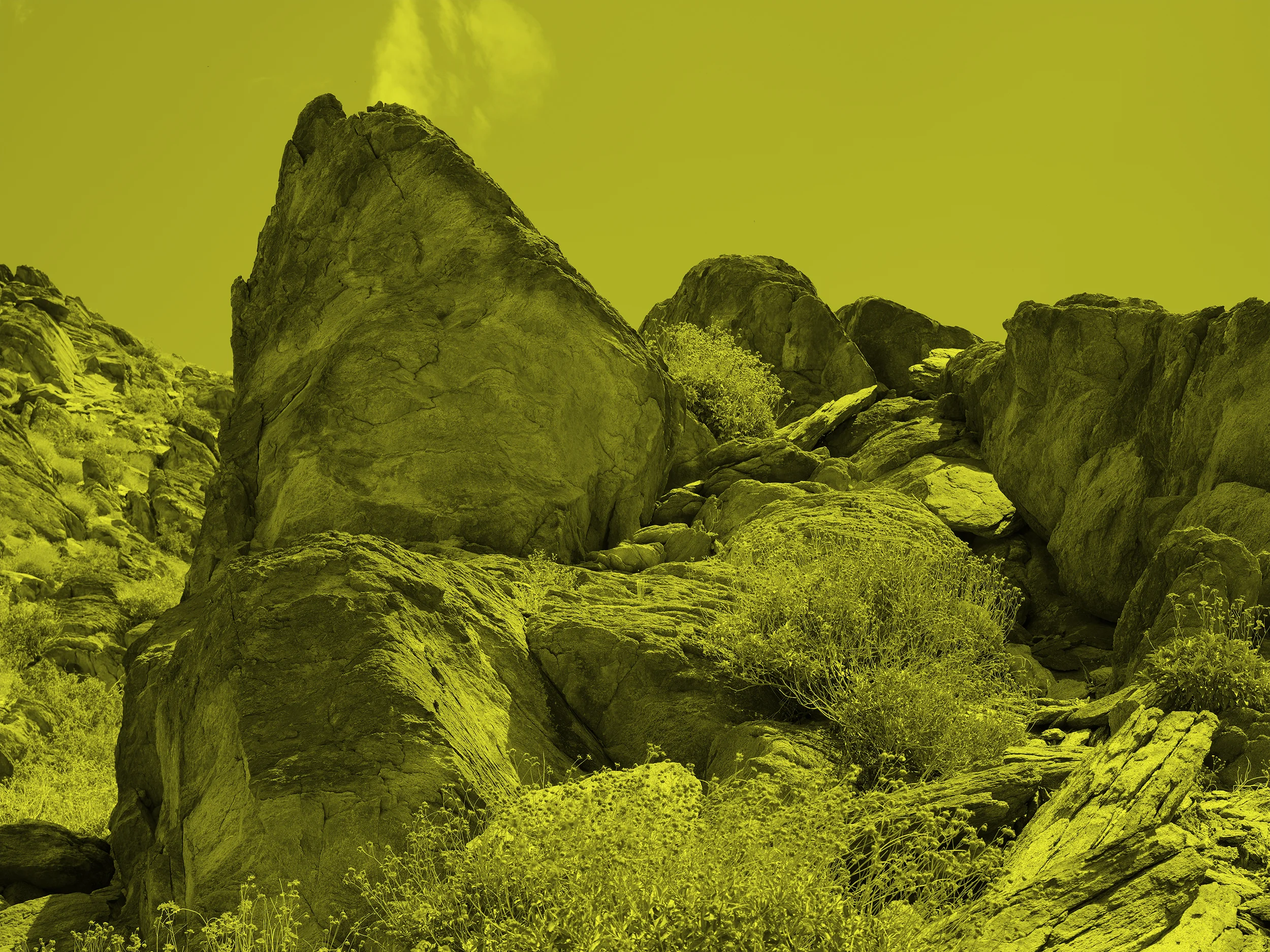 19_Lichen_Trail_No4_Chartreuse.jpg