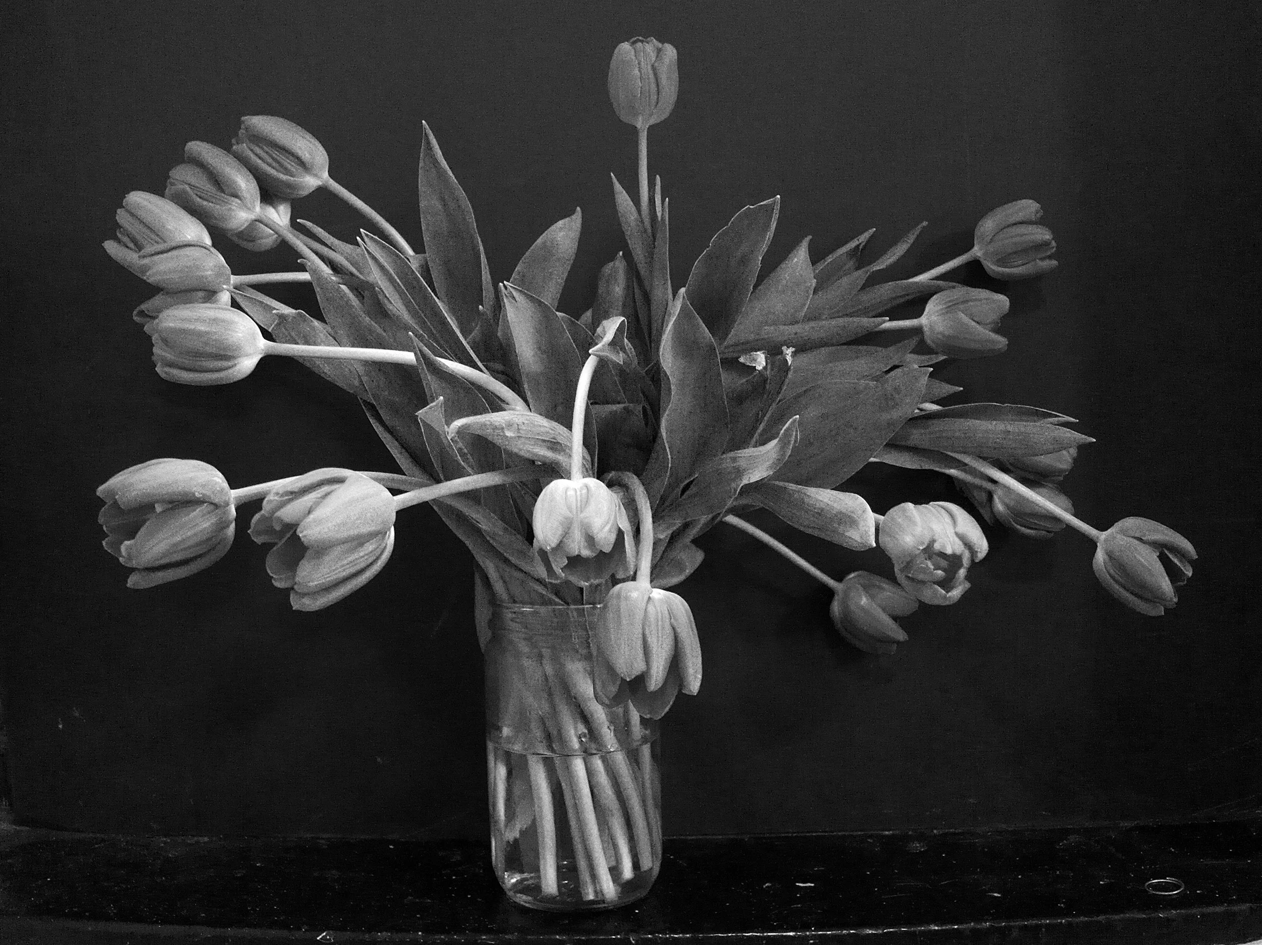 Tulips_in_JarIMG_1079_2500px.jpg