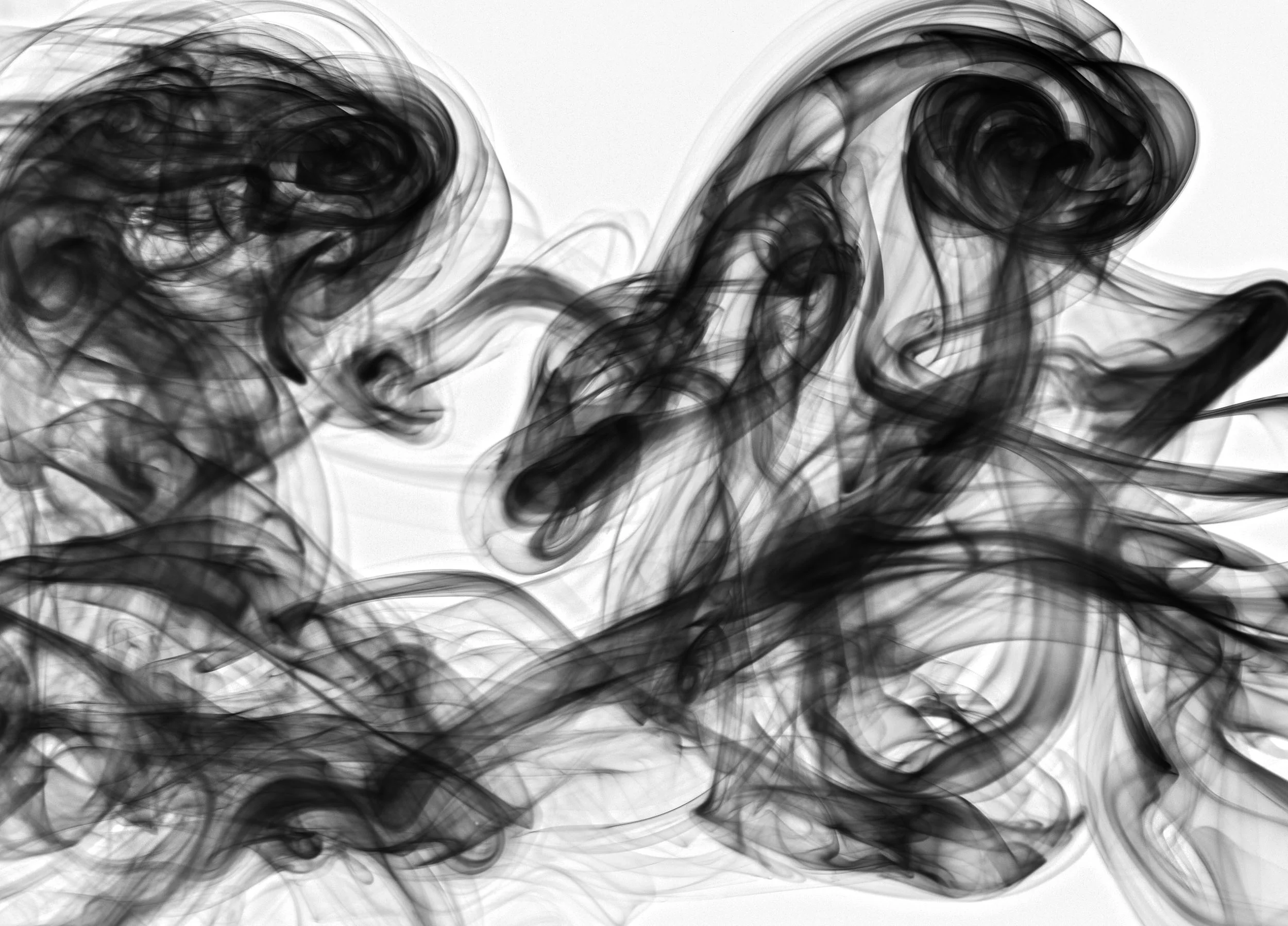 A8411579_crop_BW_Invert_2500px.jpg