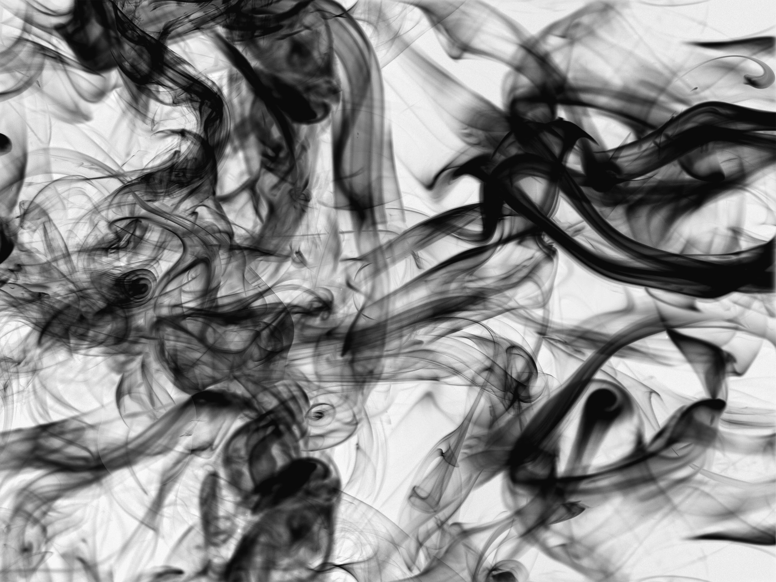 A8411587_horiz_BW_Invert_Comp_Ver_1_2500px.jpg