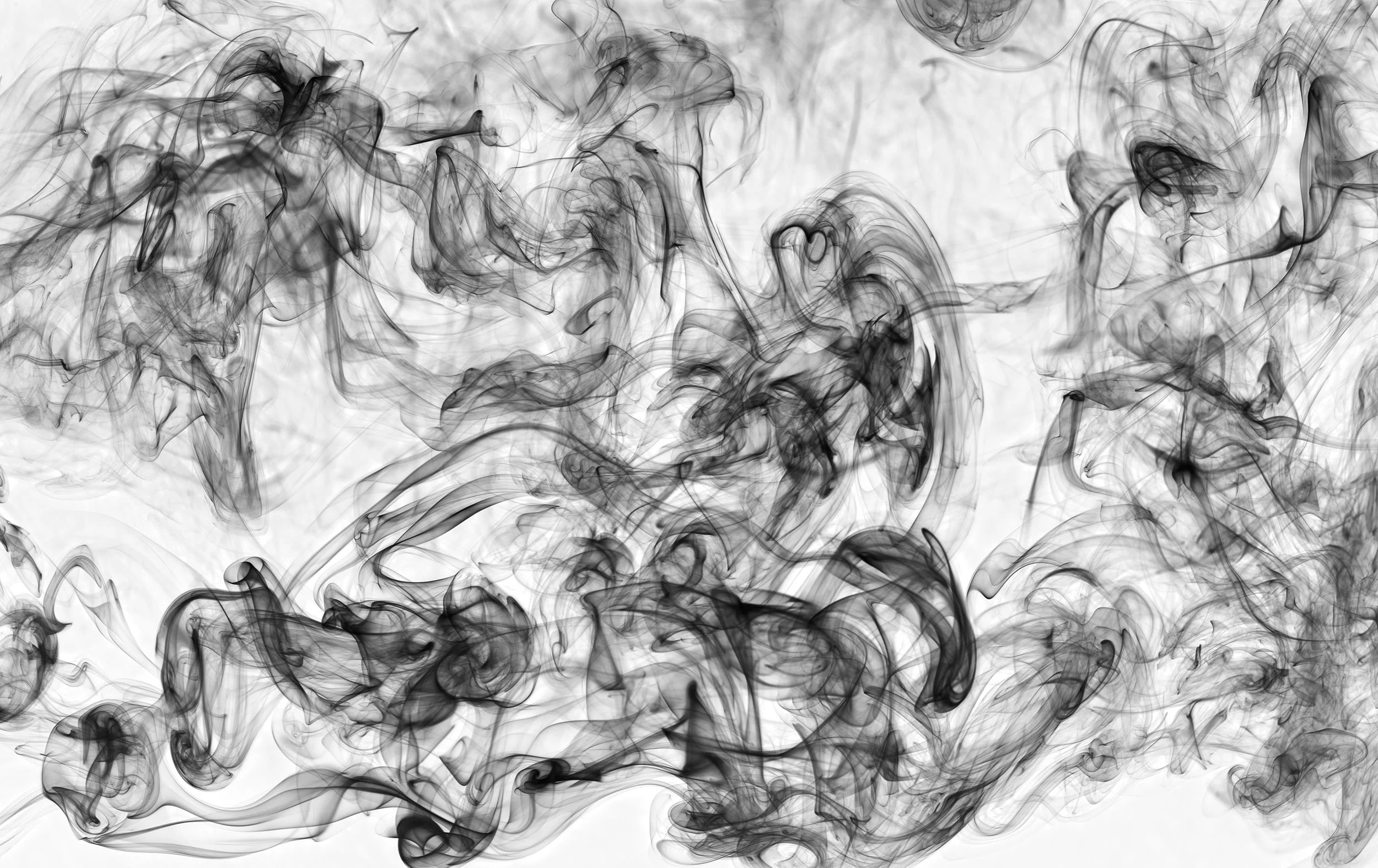 DSCF1511_B_Horiz_crop_BW_Invert_ver_2_2500px.jpg