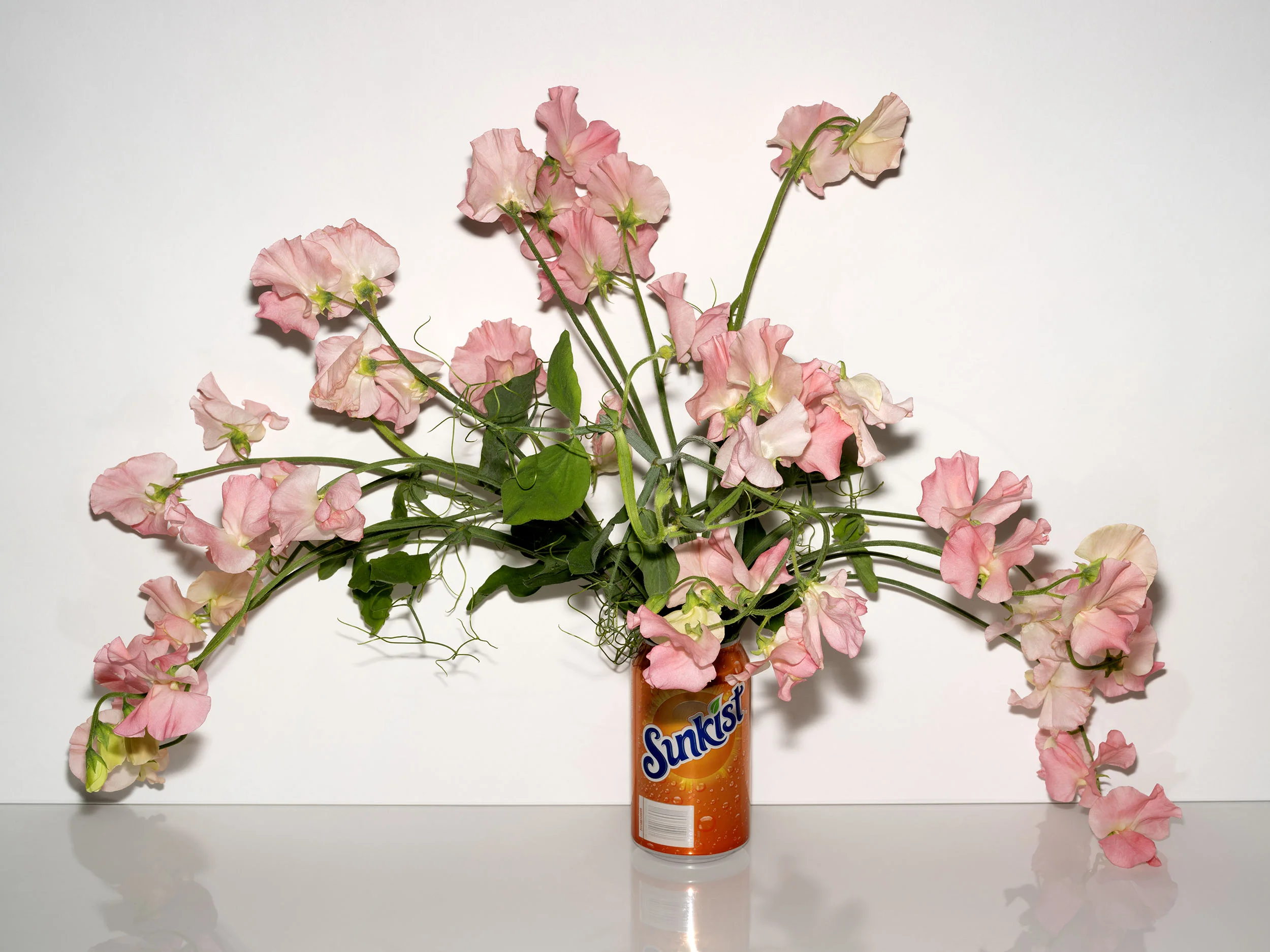 Sunkist_&_Sweet_Peas_DSCF0068_Final.jpg