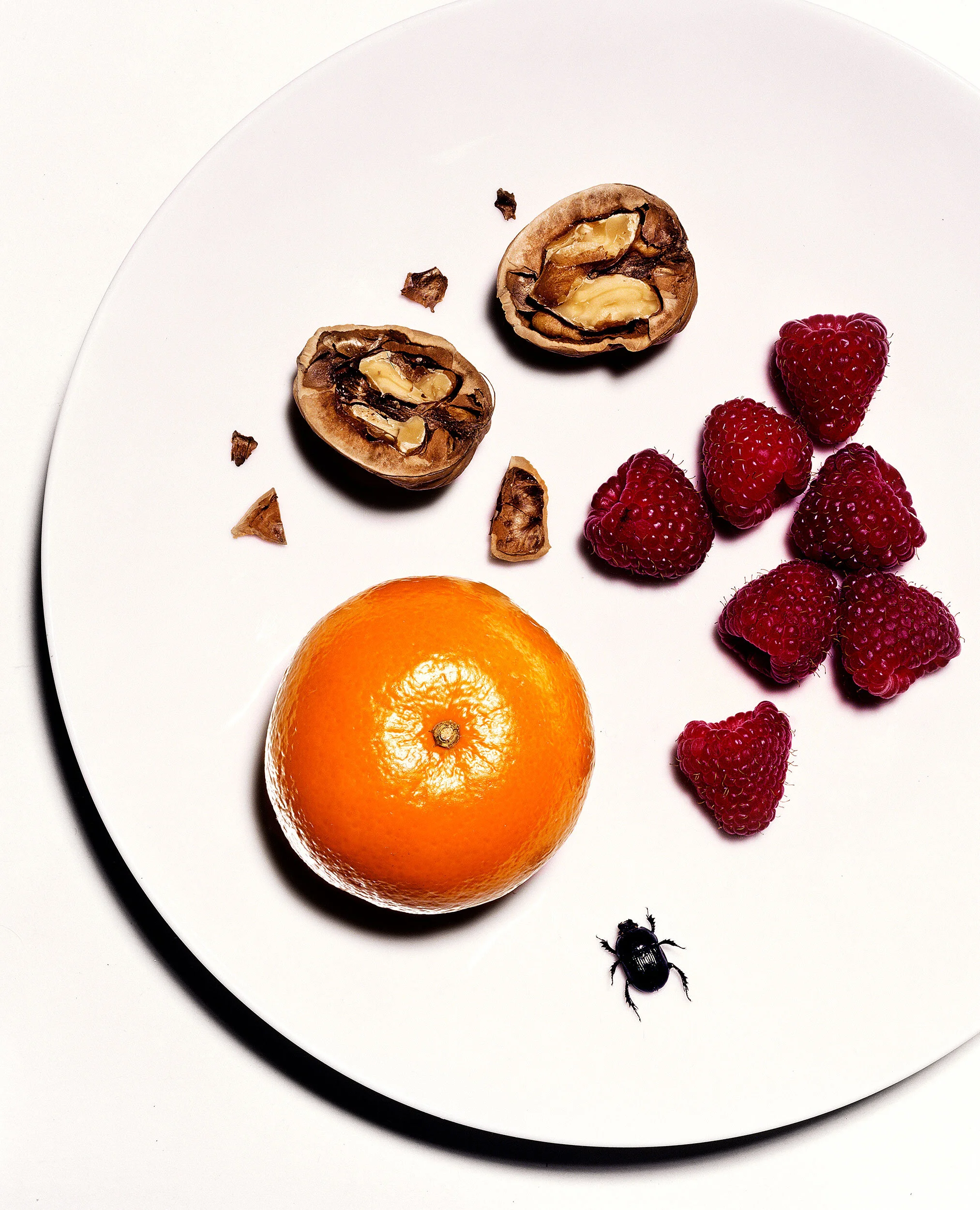 rasberries_w_walnut.jpg
