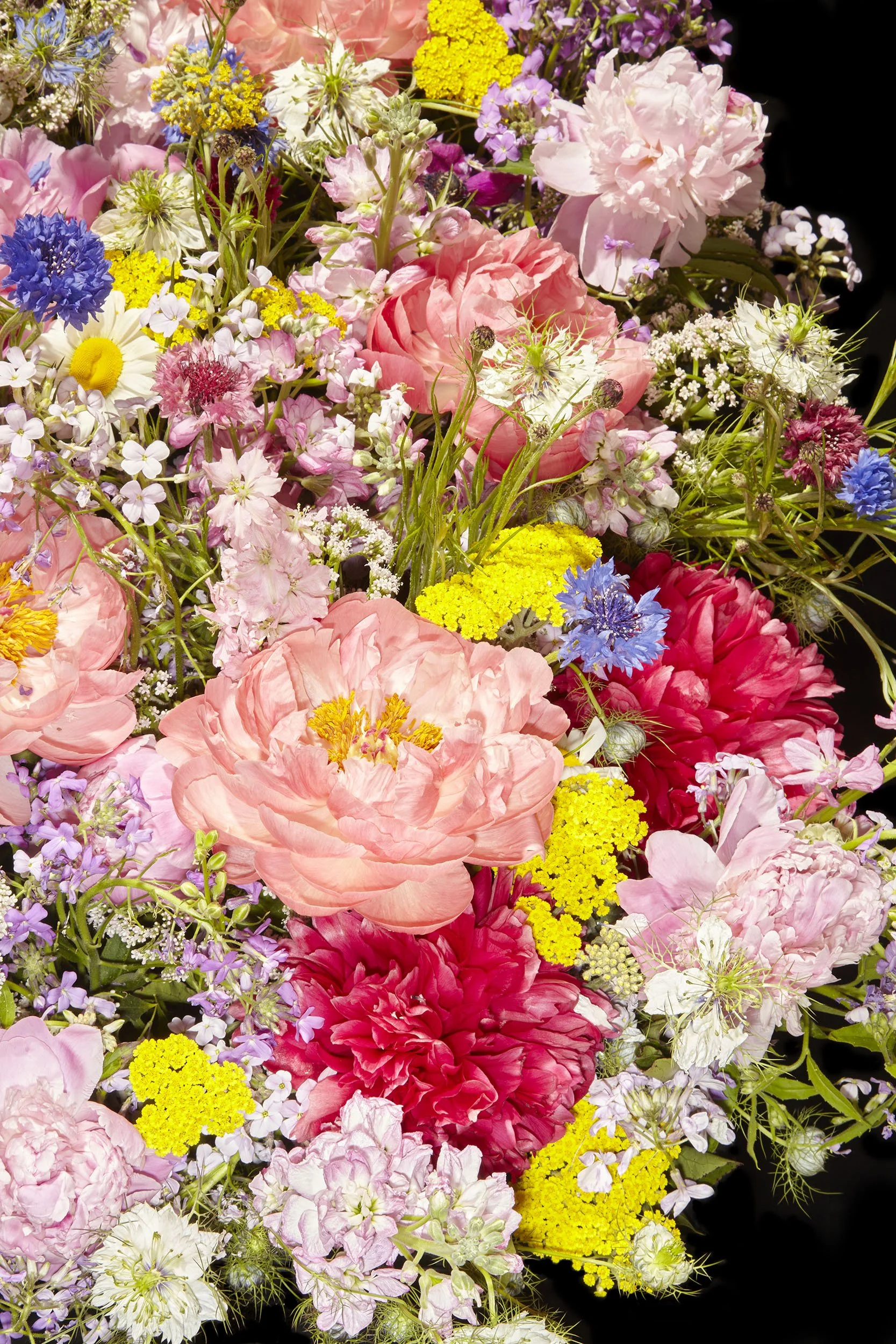 Flower_Mixed_5.28.23__MG_8526_2500px.jpg