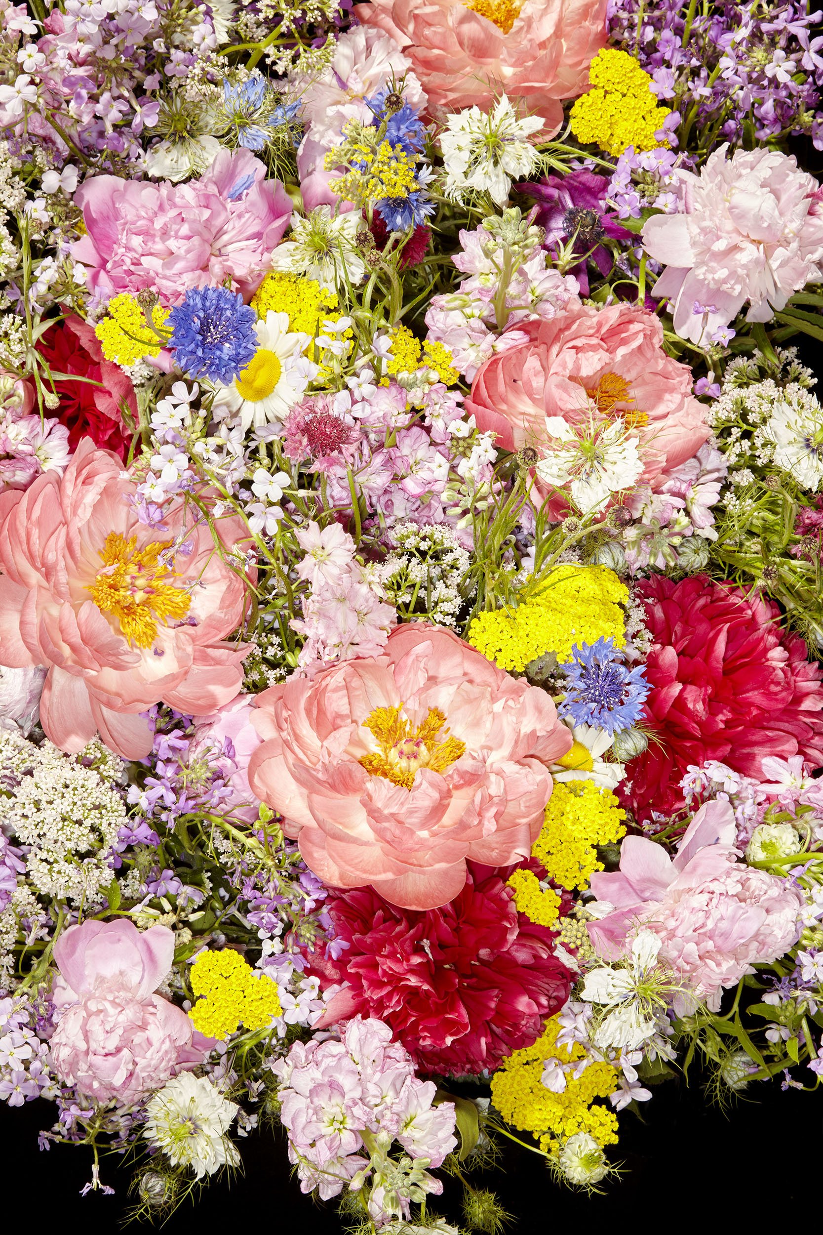 Flower_Mixed_5.28.23__MG_8524_2500px.jpg