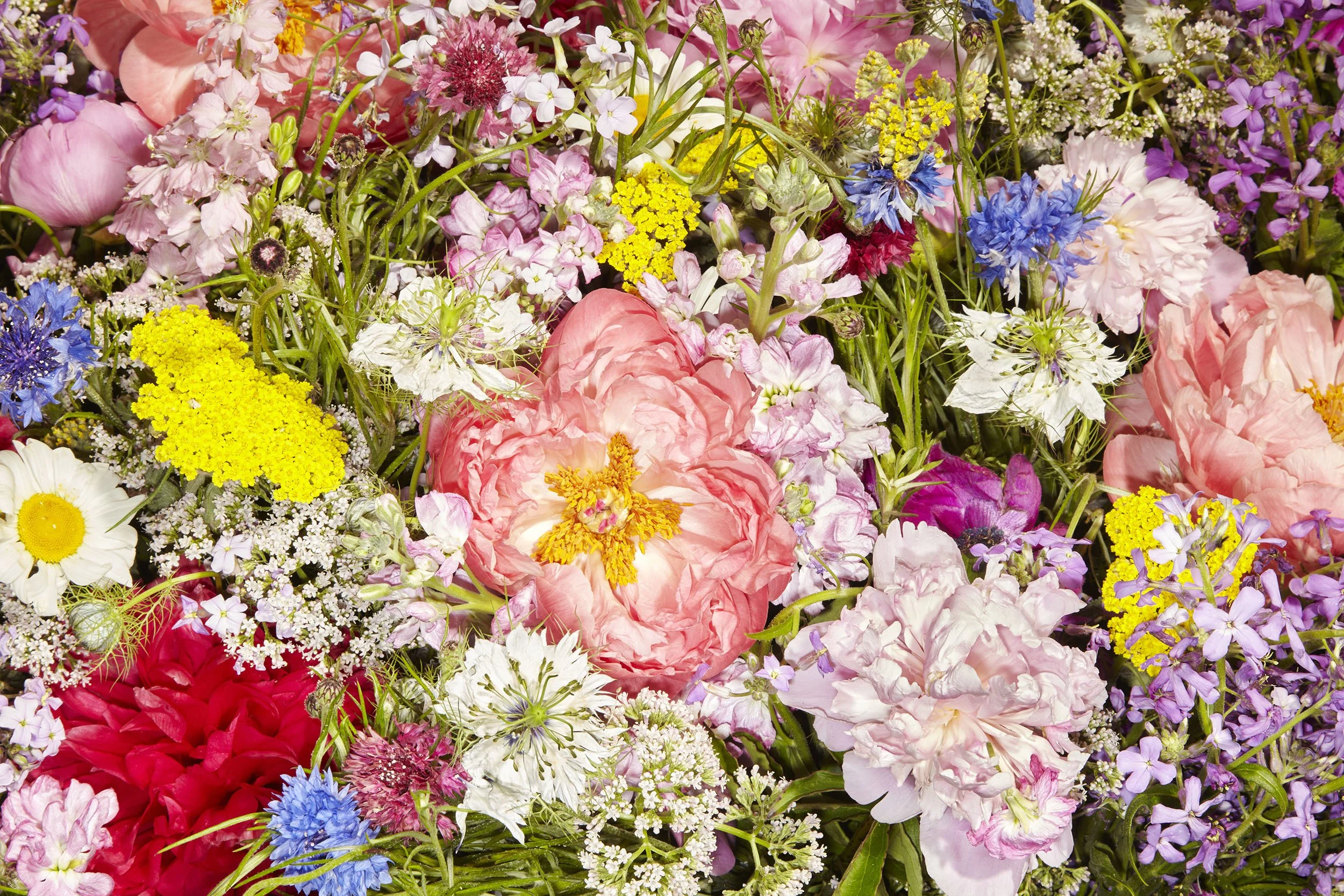 Flower_Mixed_5.28.23__MG_8510_2500px.jpg