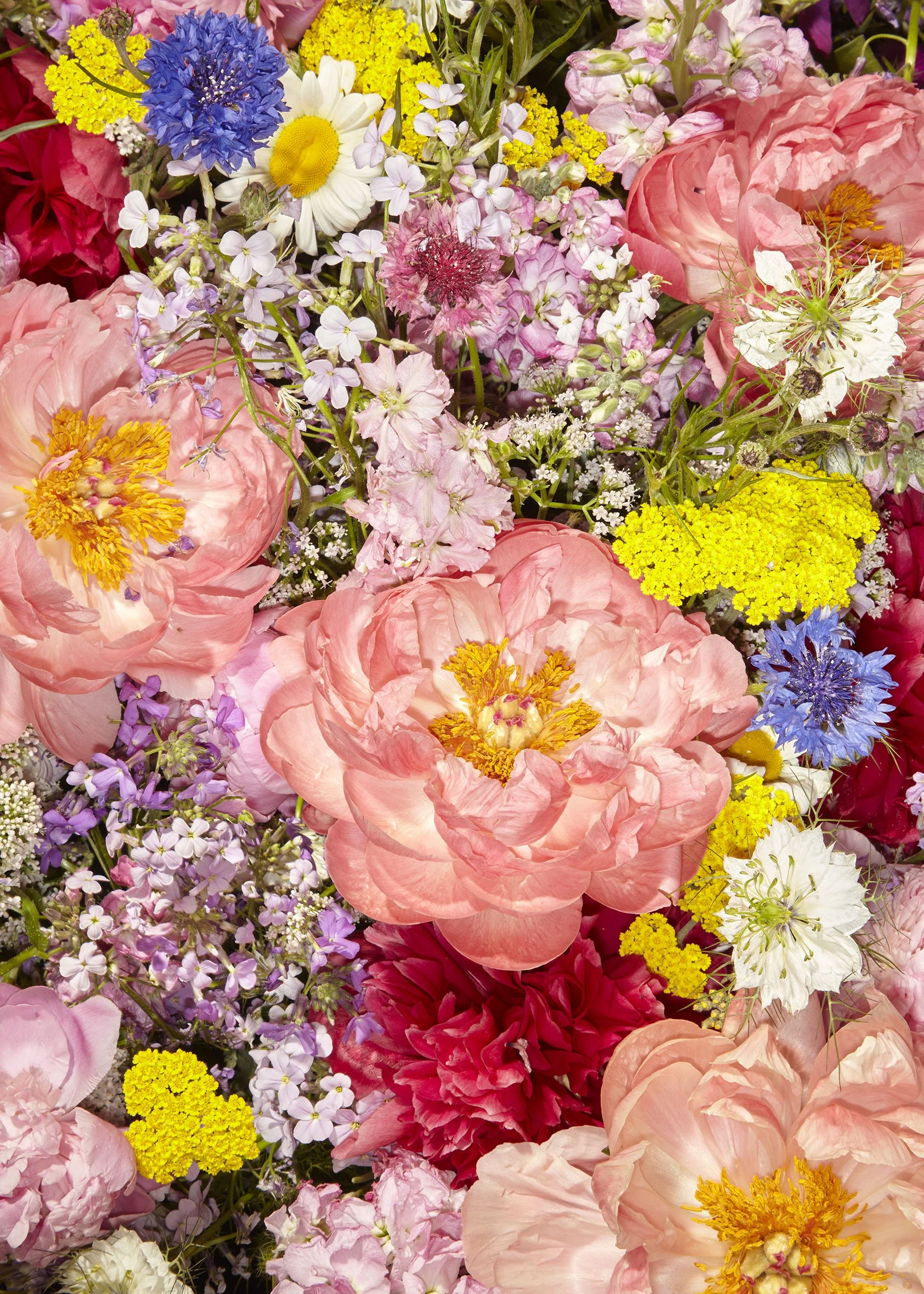 Flower_Mixed_5.28.23_MG_8539_crop_2500px.jpg