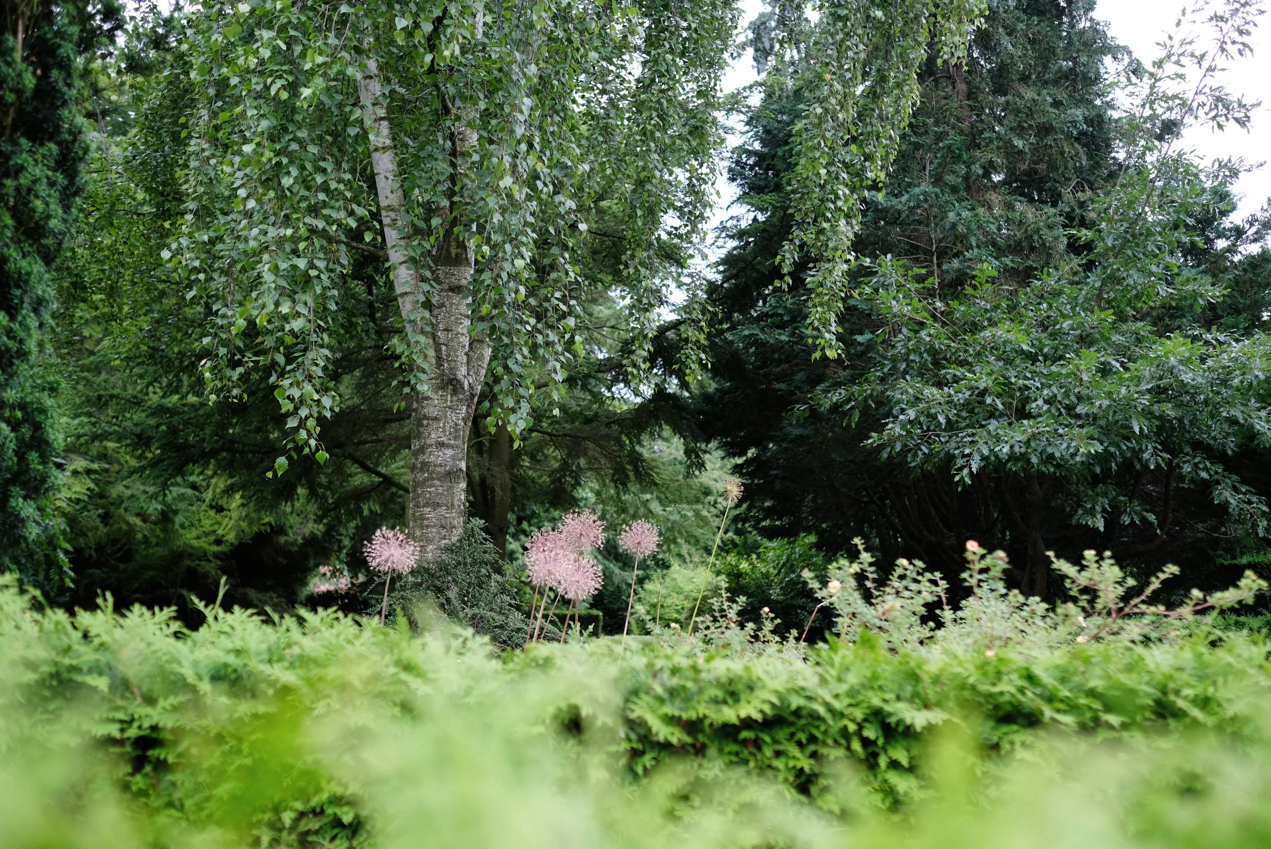 DSCF7136.jpg
