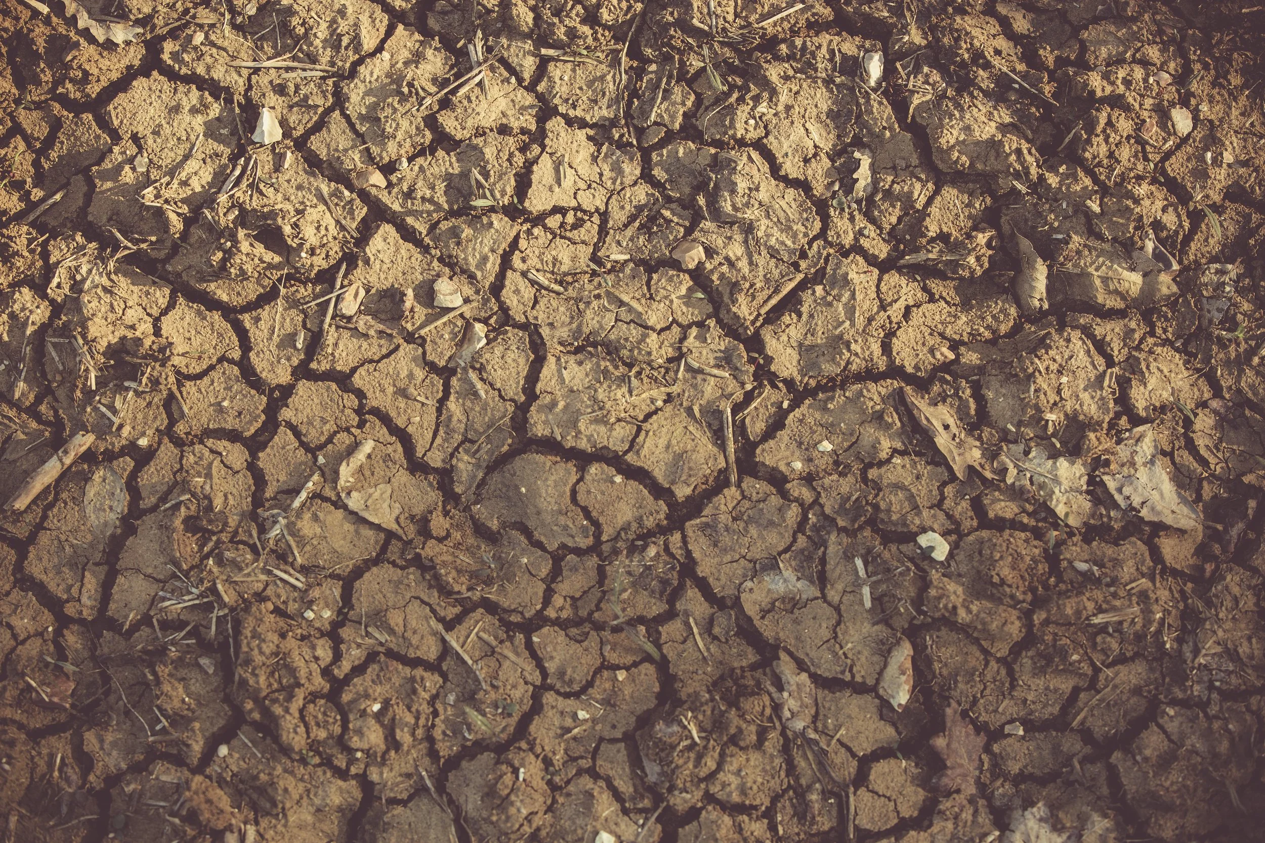 arid-clay-close-up-1097016.jpg