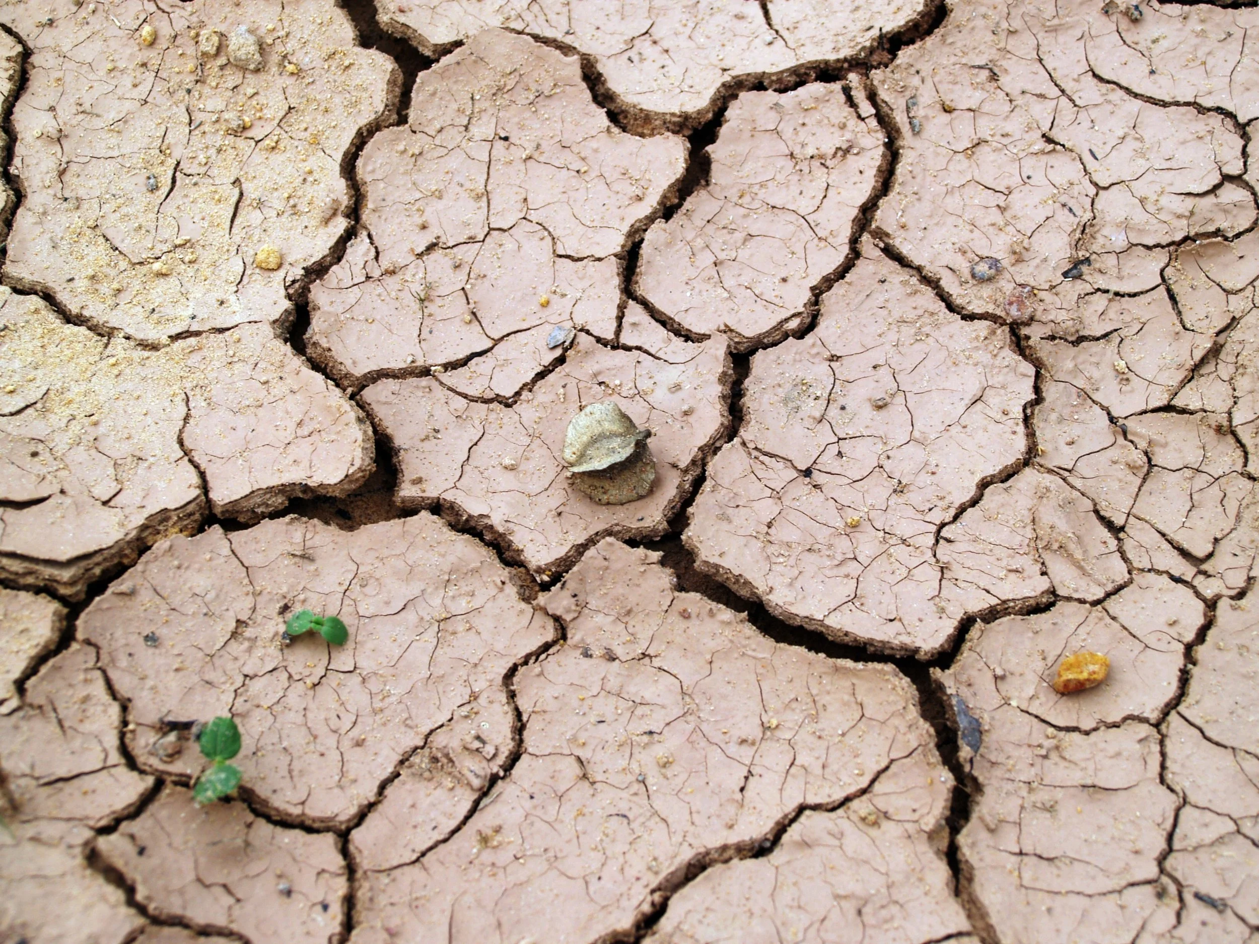 arid-barren-clay-216692.jpg