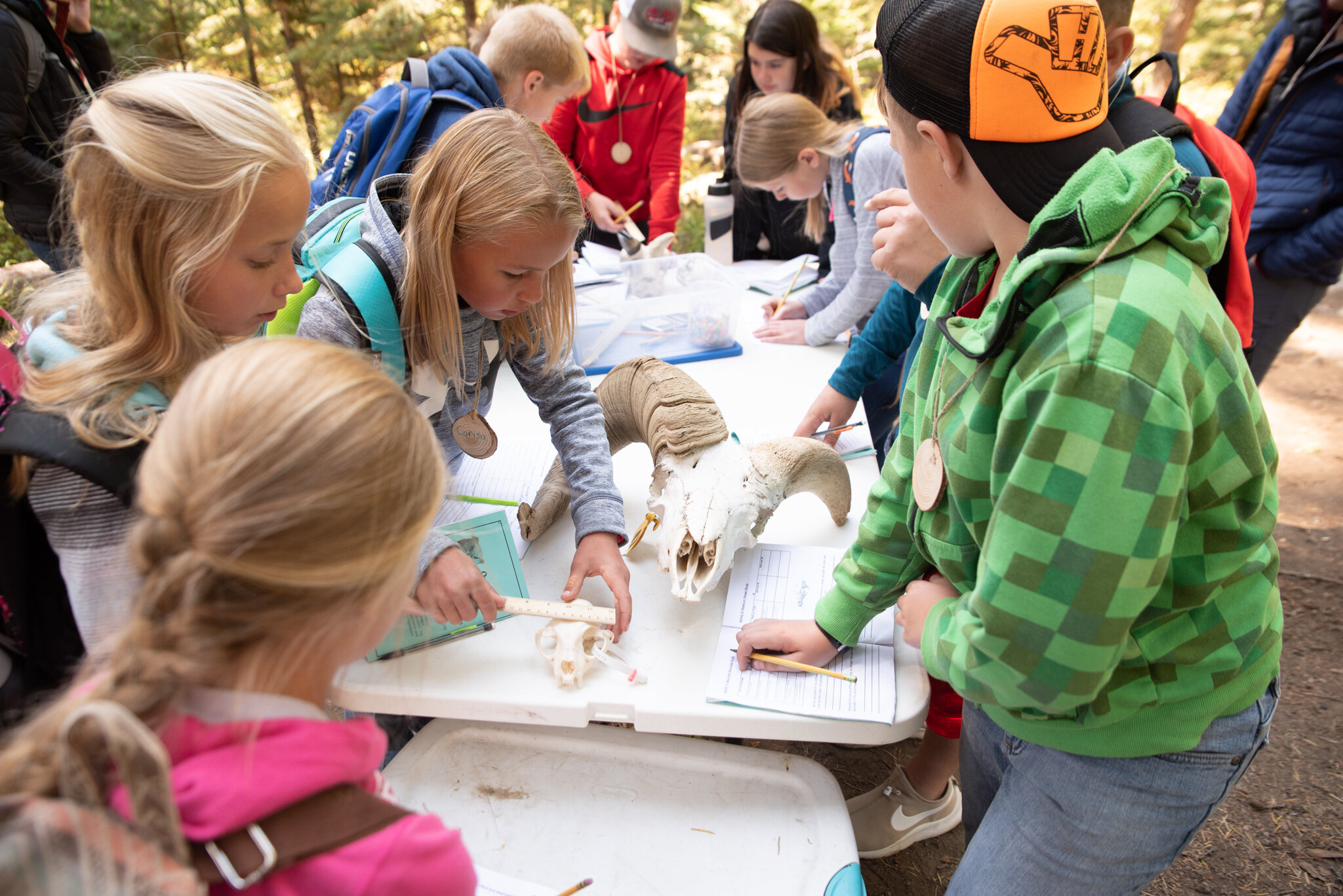 Outdoor School