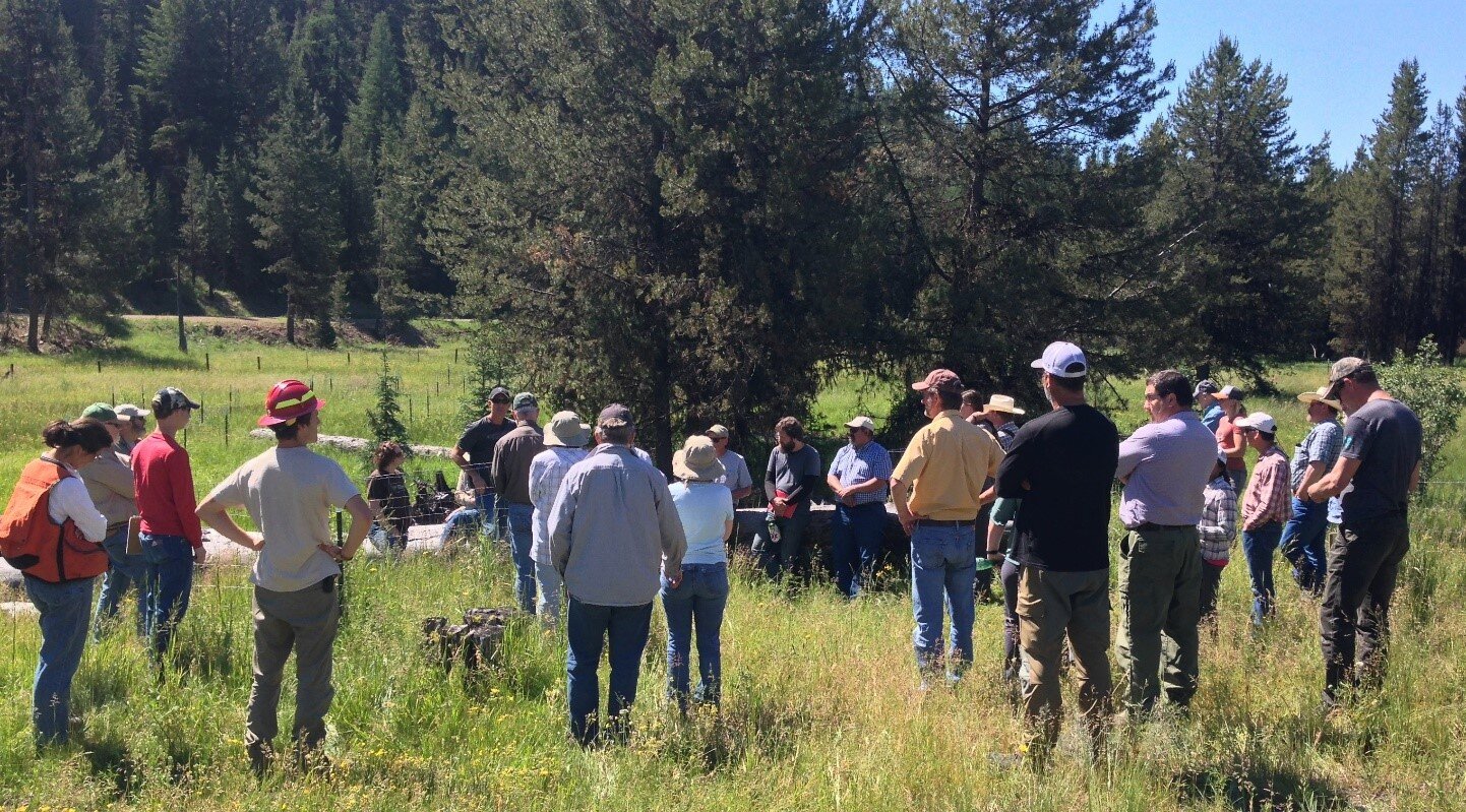 Forest Collaborative Meeting