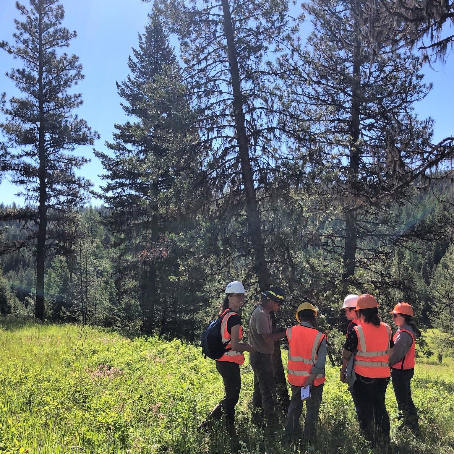 High schoolers! It's not too late to apply for our HAWK Internship! Applications close this Sunday. WR Hawk Internship is an 8-week PAID internship that allows participants to experience many professions within Natural Resources and the outdoors! It'