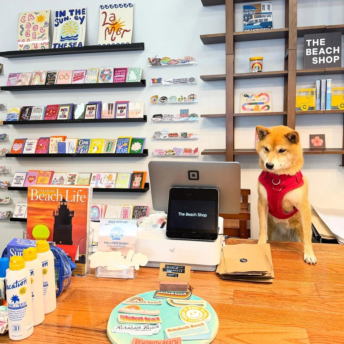 Special visit from the real boss today