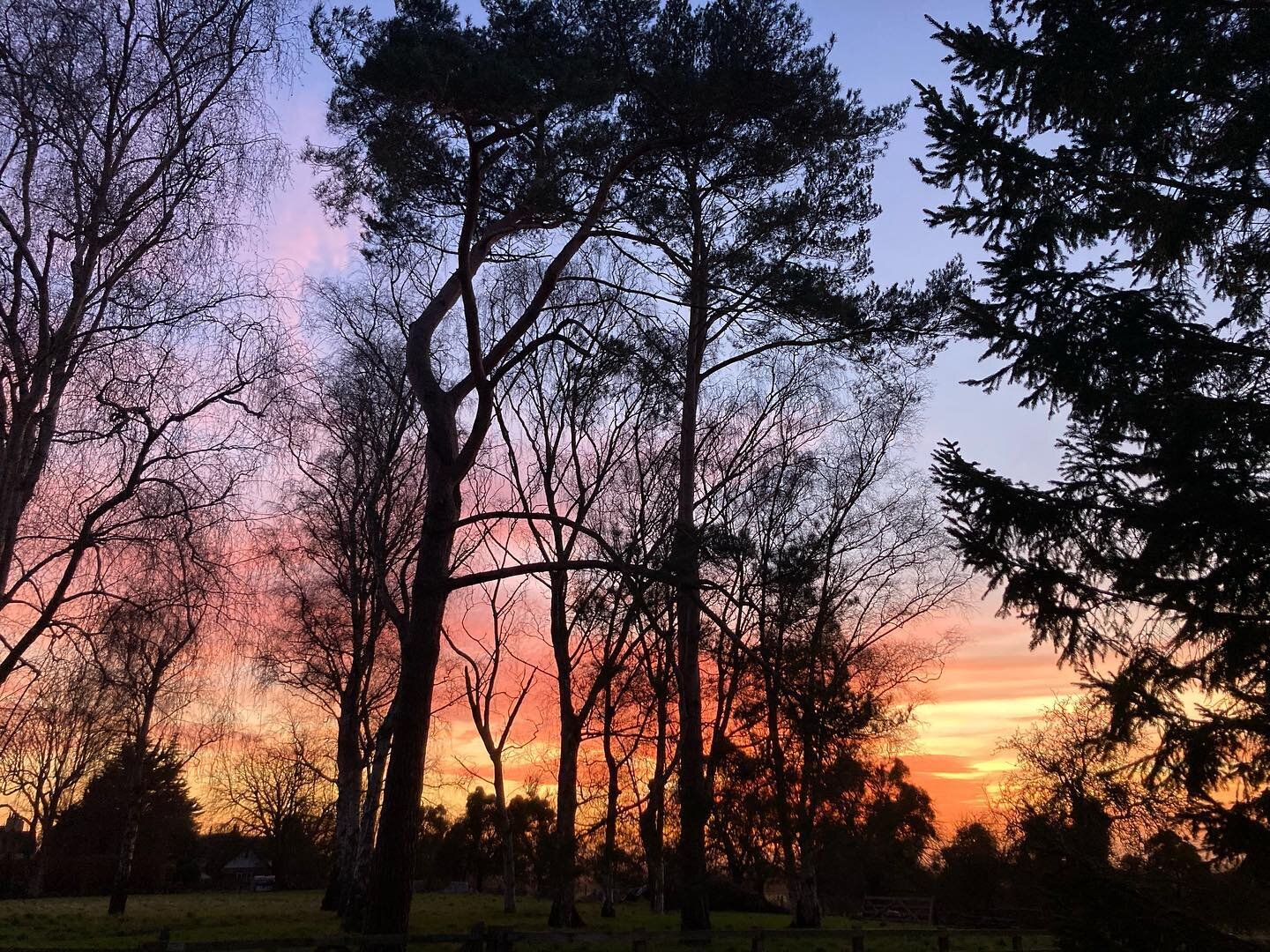 Grateful for the natural beauty of life - feels good to be home and watch the colours changing in the sky 🙏🏻 #homeiswheretheheartis #changingskies #coloursofnature #sunsets #ilovemyhome