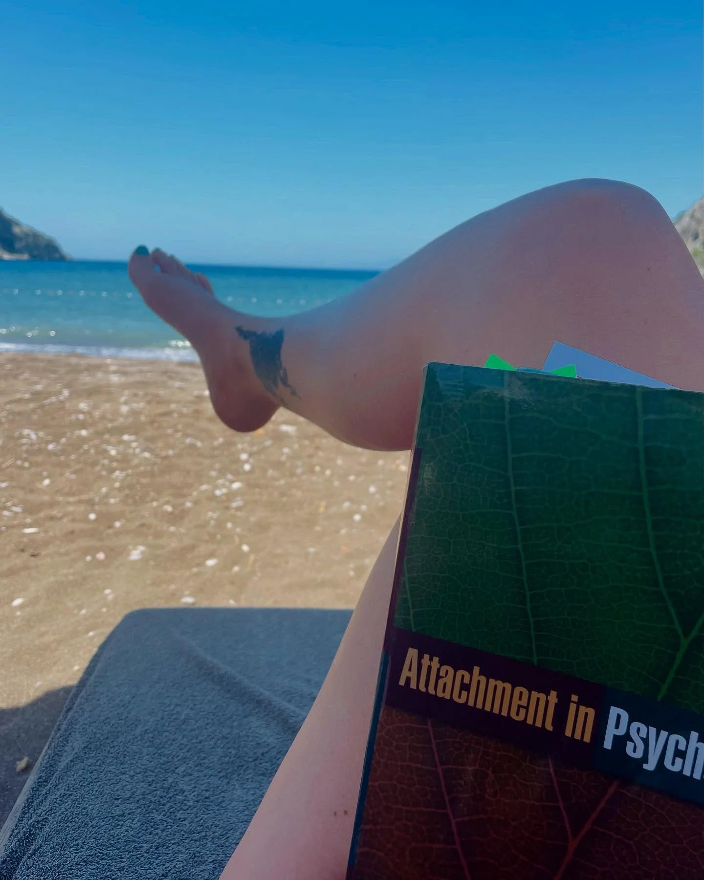 My kind of study place 😎 #beachlife #attachmenttheory #studyingonthebeach #theessay #snoozing